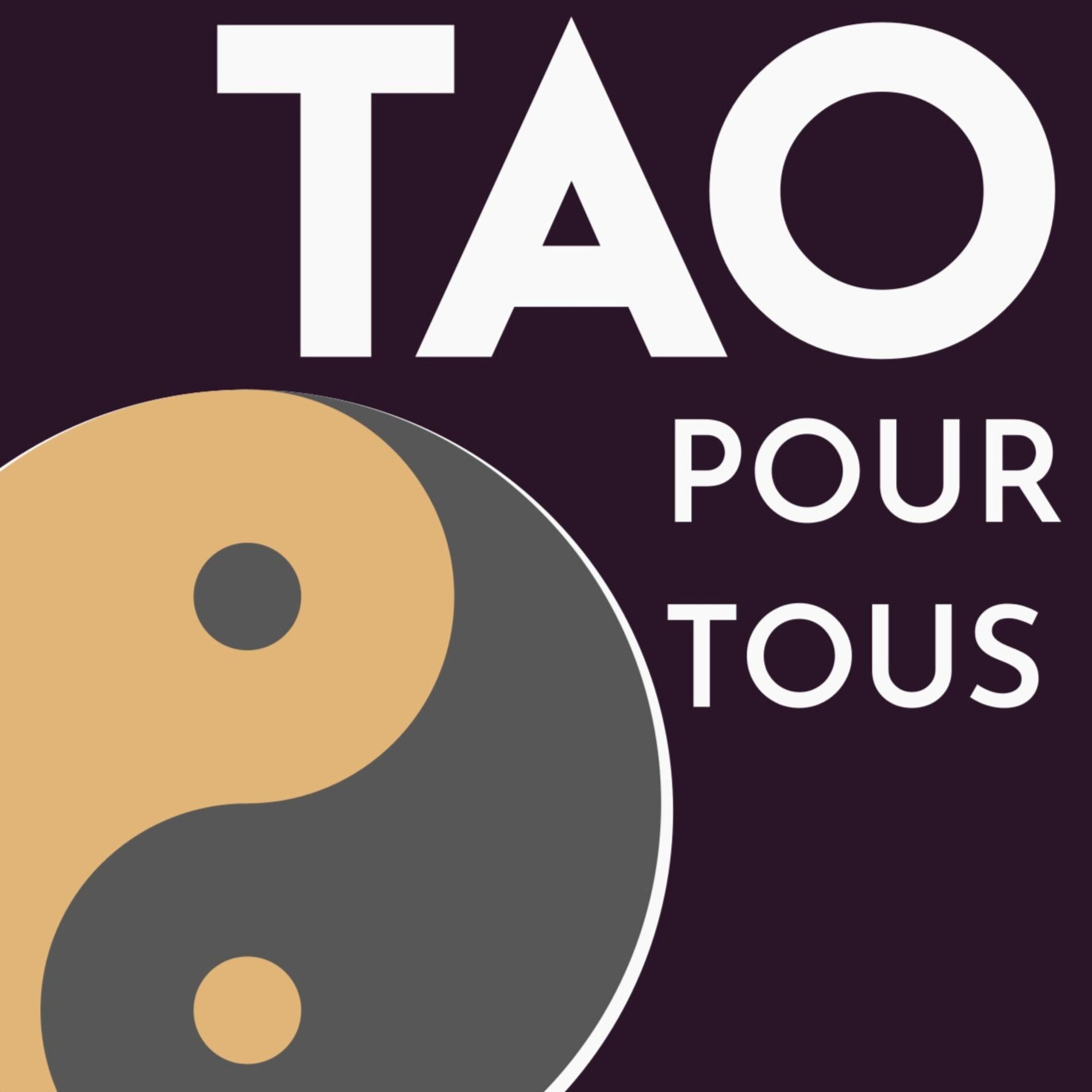 Show cover of le Tao pour Tous