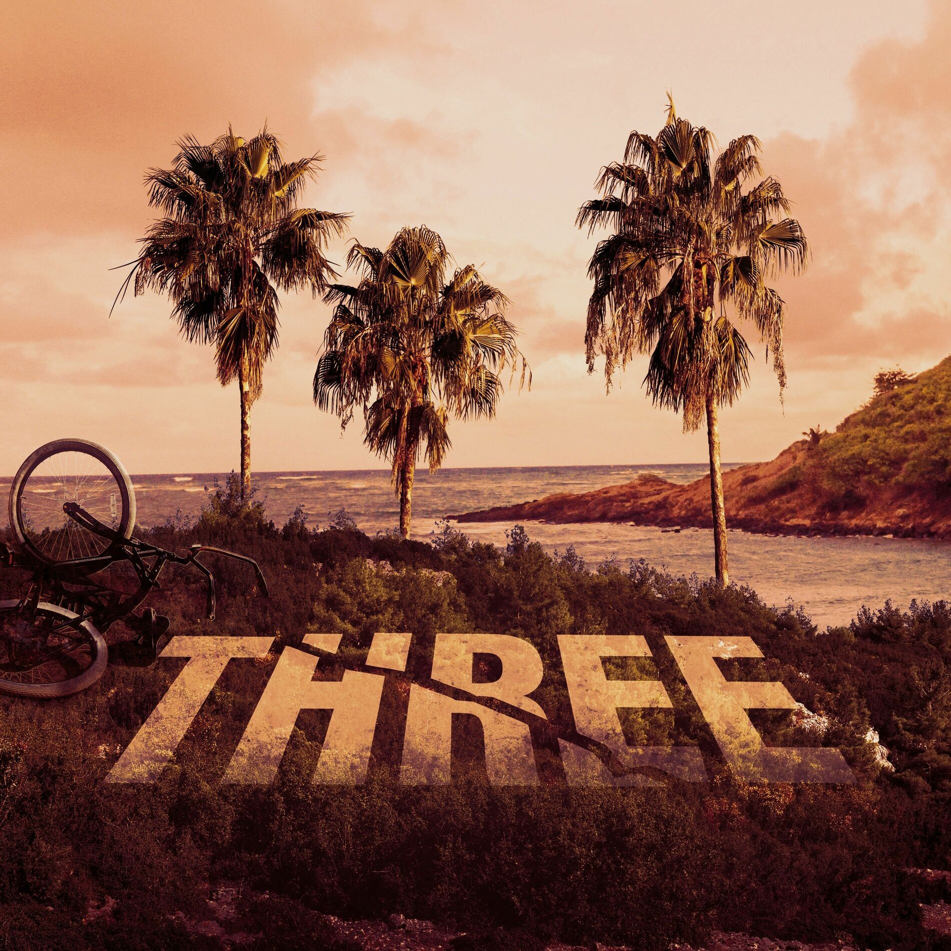 Show cover of THREE