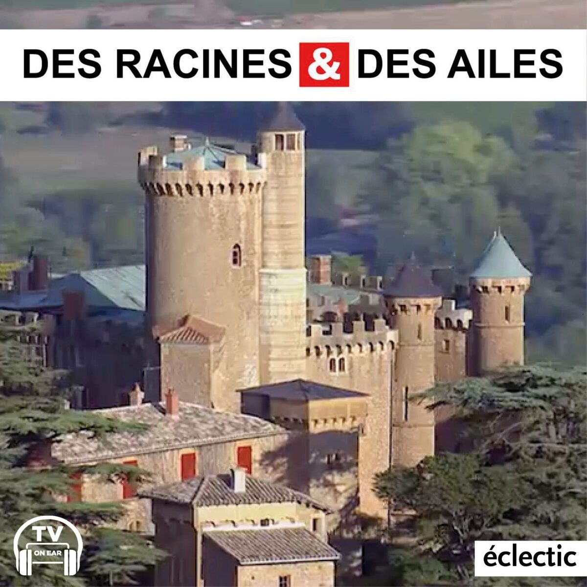 Show cover of DES RACINES & DES AILES