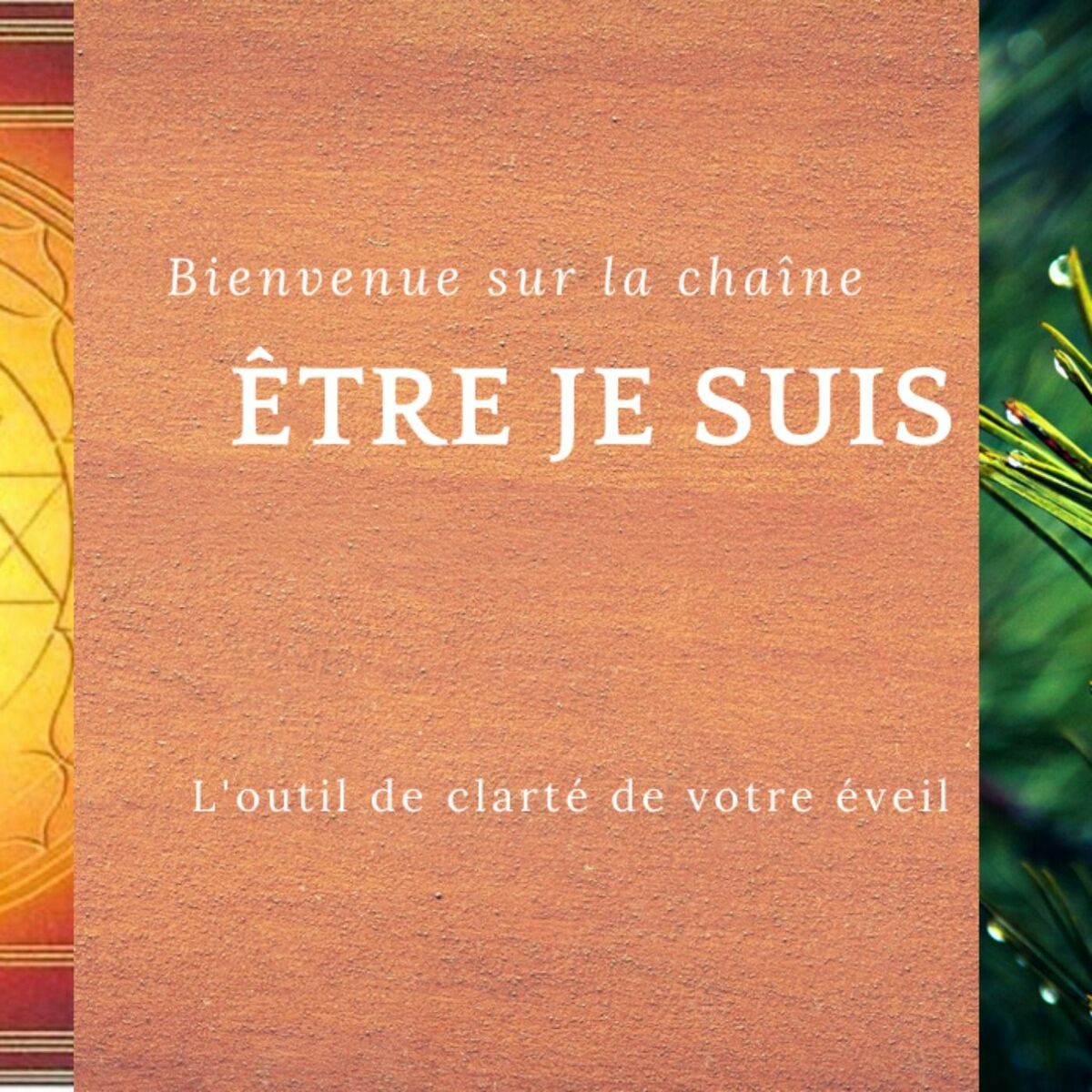 Show cover of La Réalisation de Soi