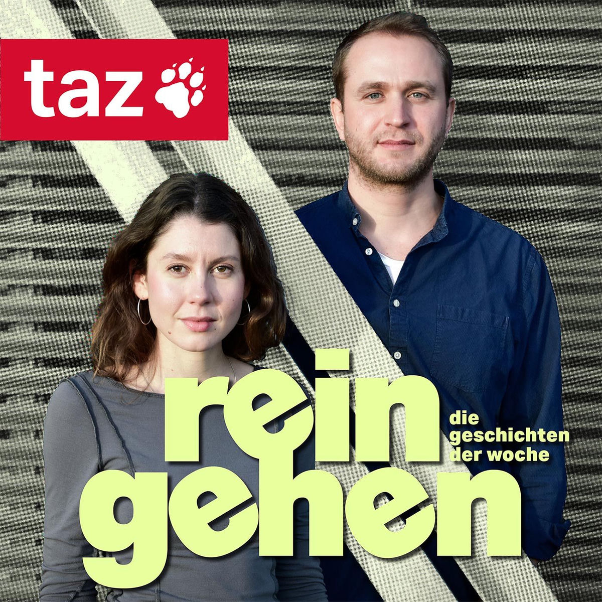 Show cover of Reingehen - Die Geschichten der Woche