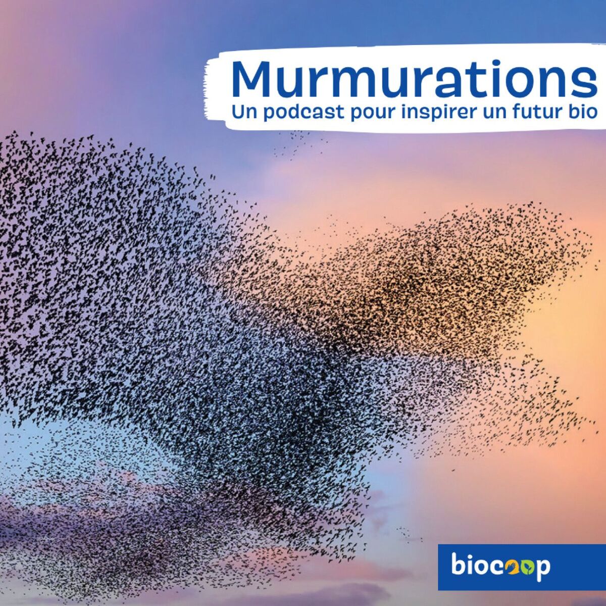 Show cover of MURMURATIONS - Un podcast Biocoop pour inspirer un futur bio