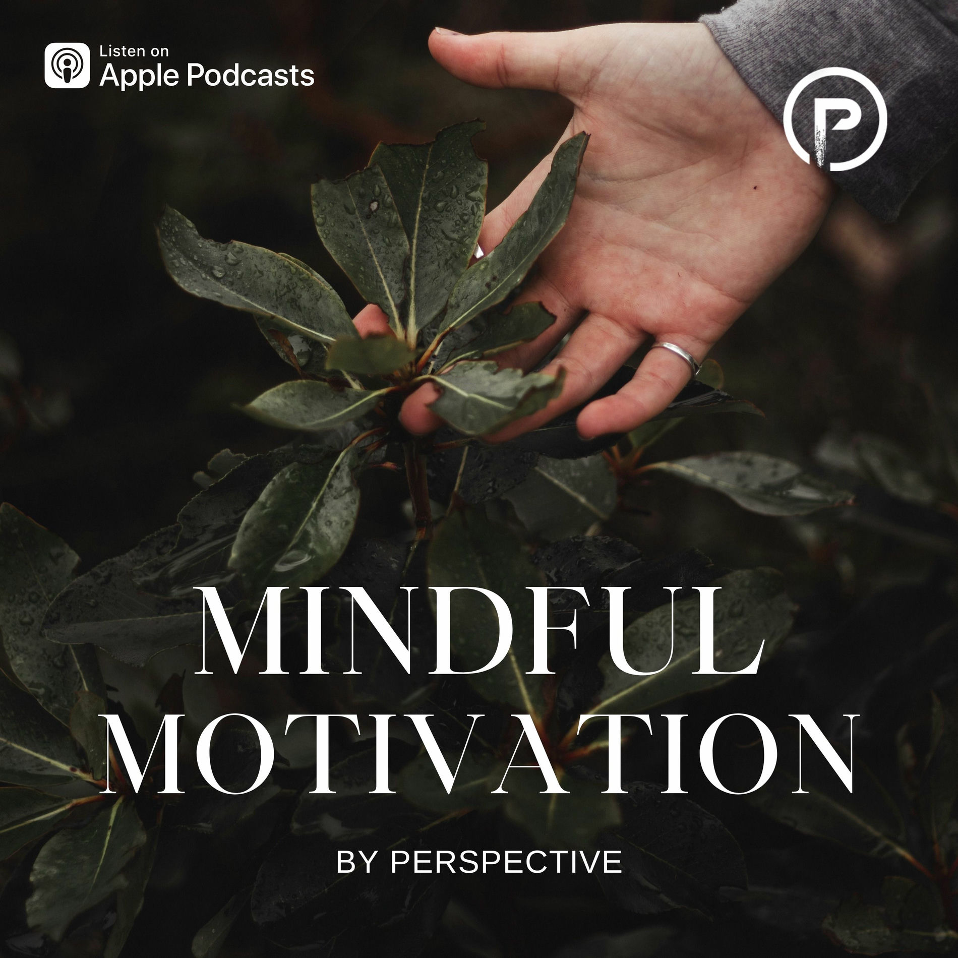 Show cover of Mindful Motivation Podcast