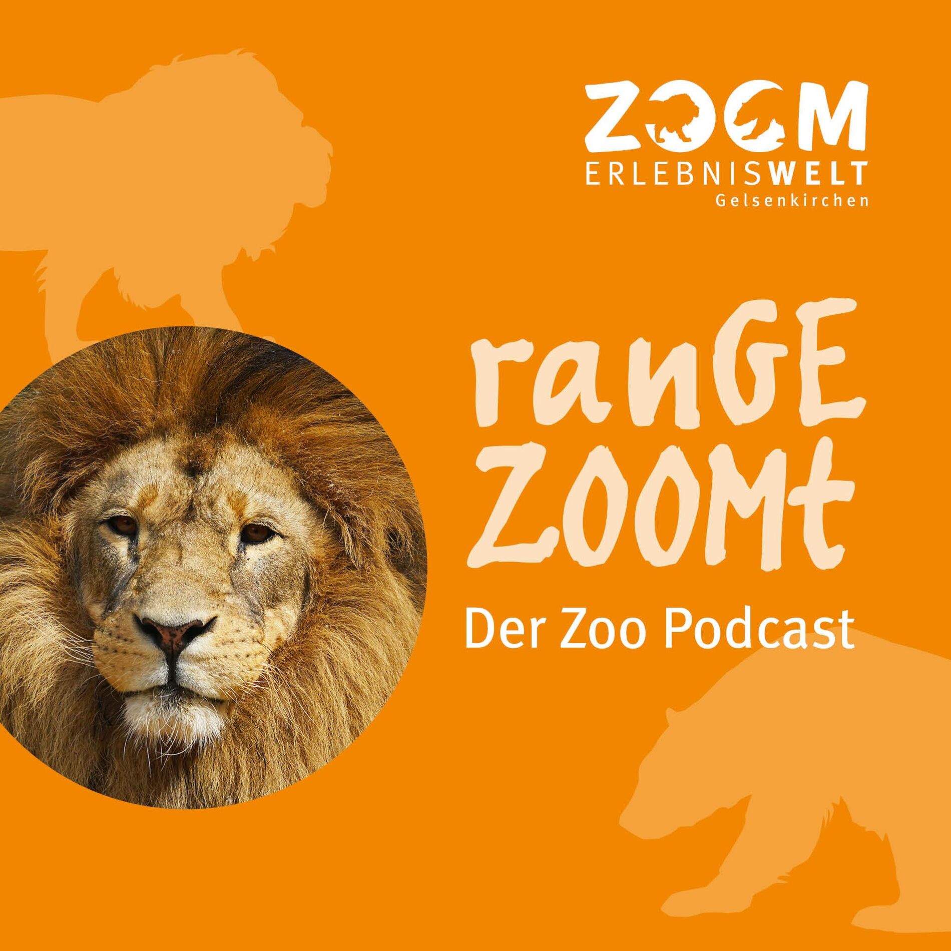 Show cover of ranGEZOOMt - Der Podcast aus der ZOOM Erlebniswelt