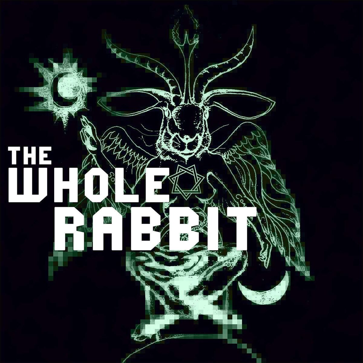 Show cover of The Whole Rabbit