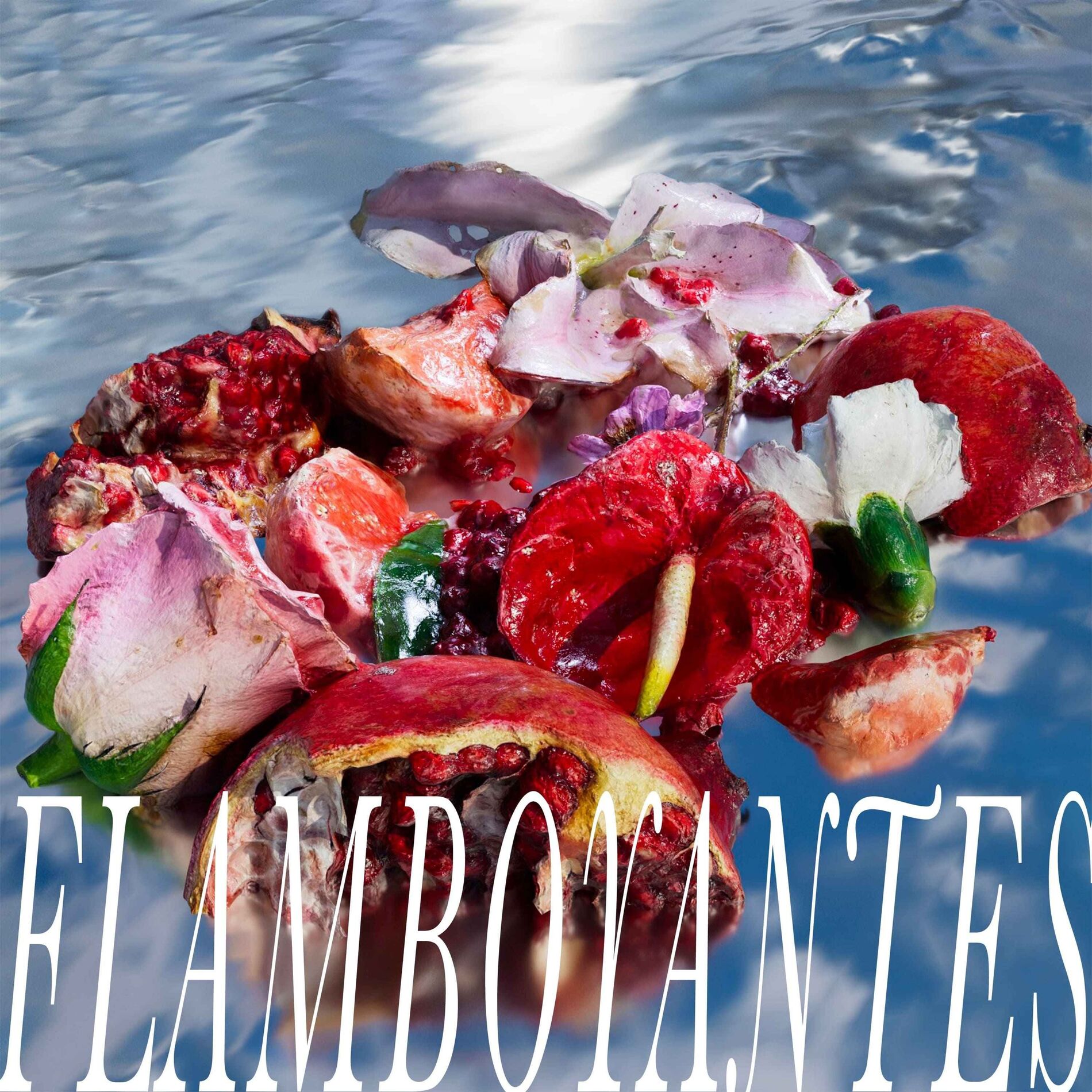 Show cover of Flamboyantes