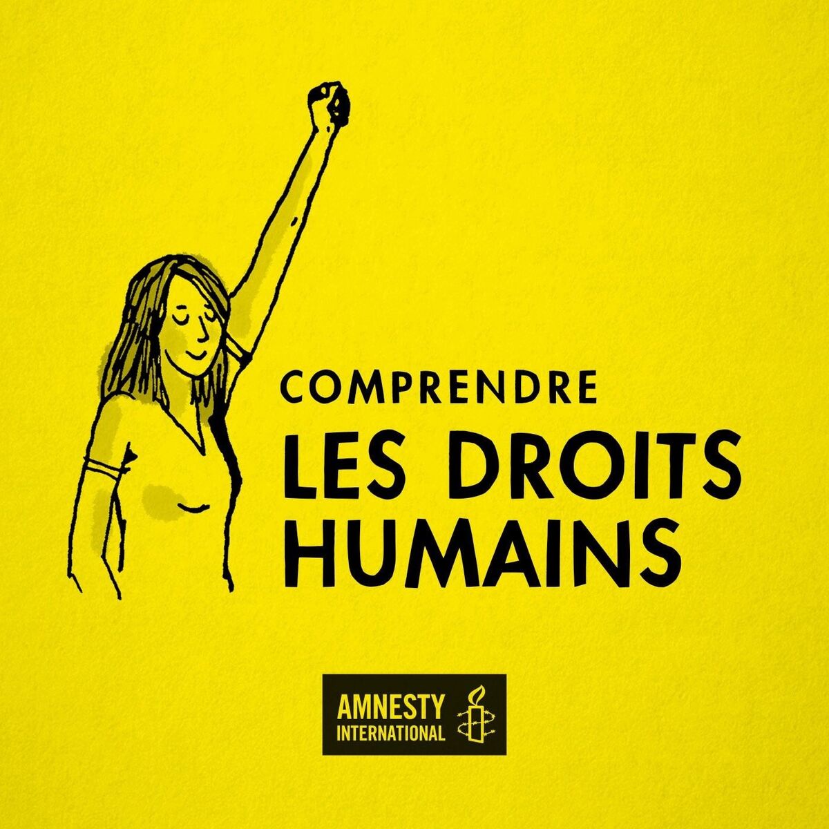 Show cover of Comprendre les droits humains