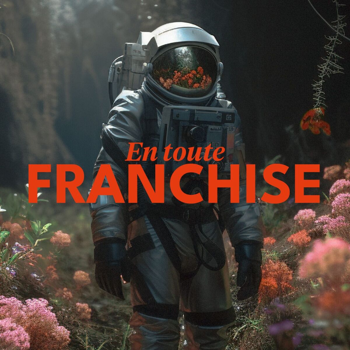 Show cover of En Toute Franchise