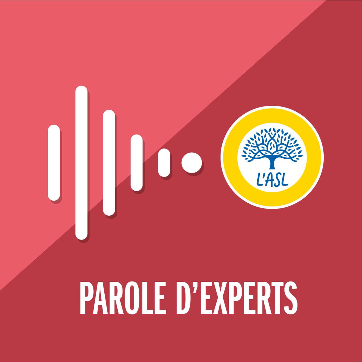 Show cover of Parole d’experts