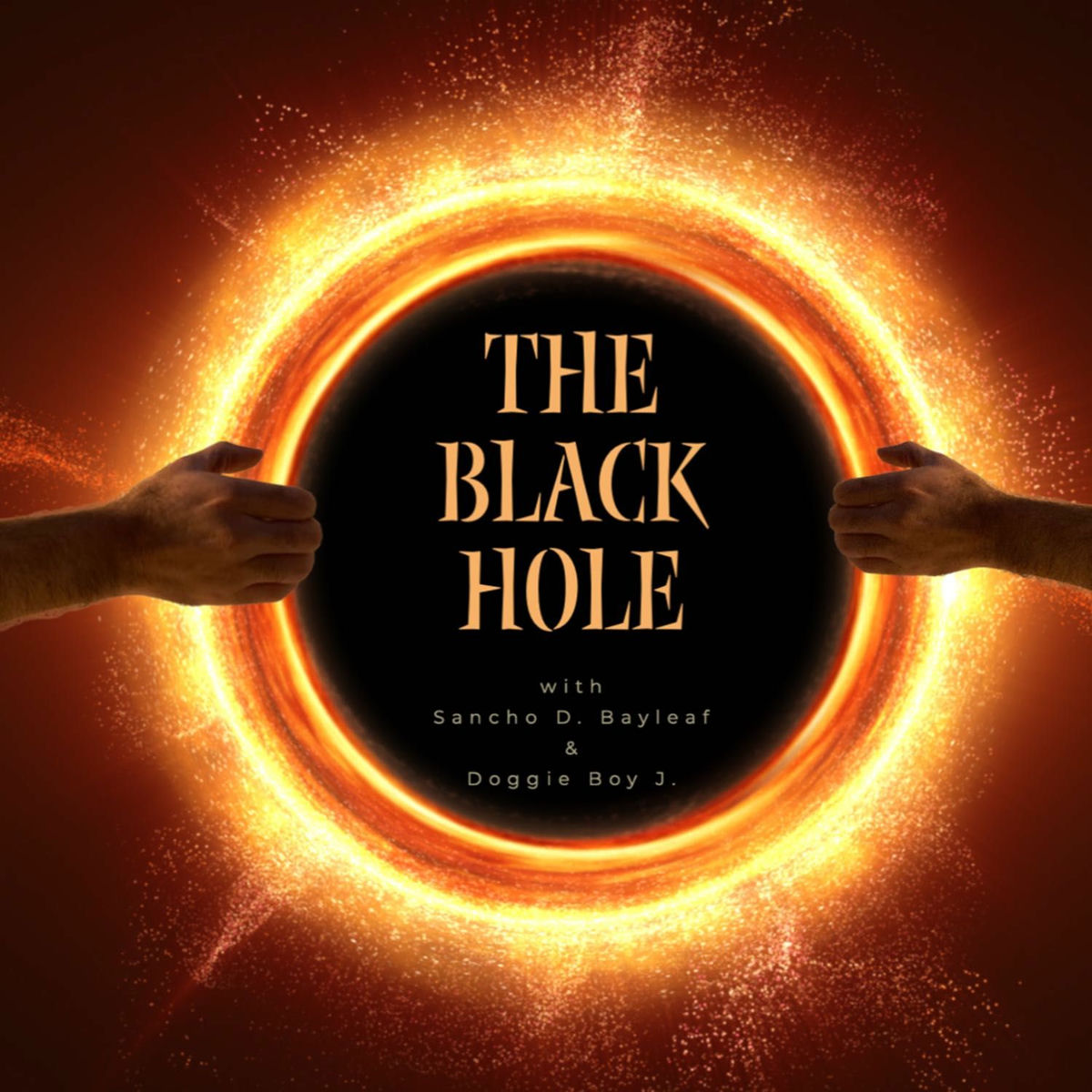 Show cover of The Black Hole