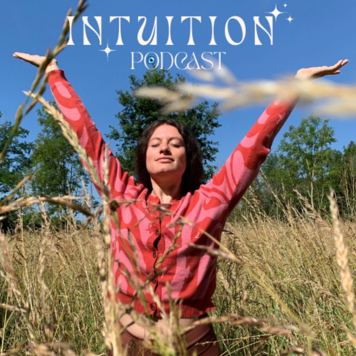 Show cover of Intuition