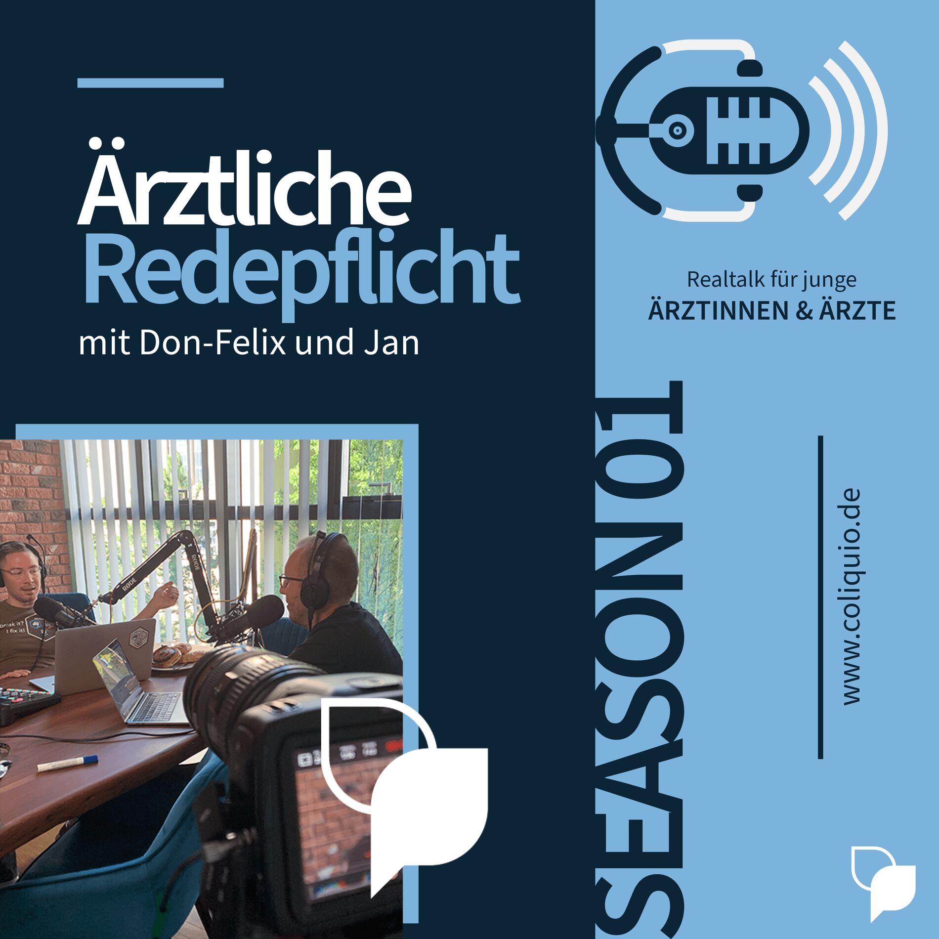 Show cover of Ärztliche Redepflicht