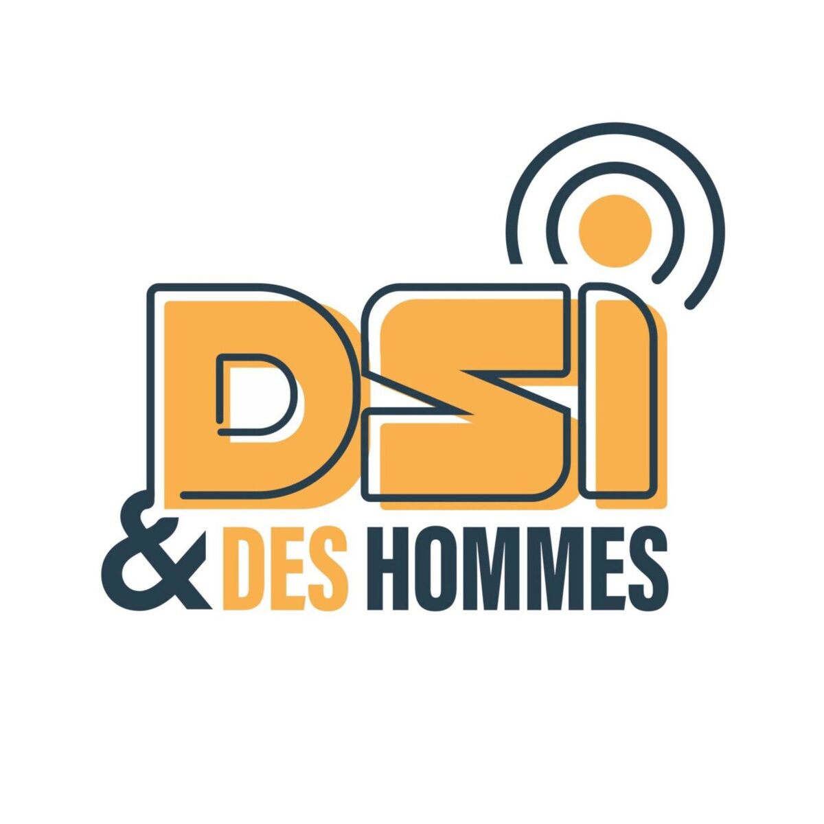 Show cover of DSI et des Hommes