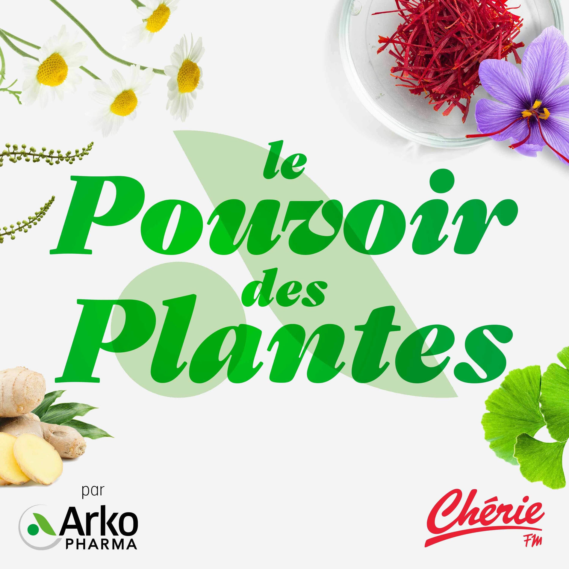 Show cover of Le pouvoir des plantes par Arkopharma
