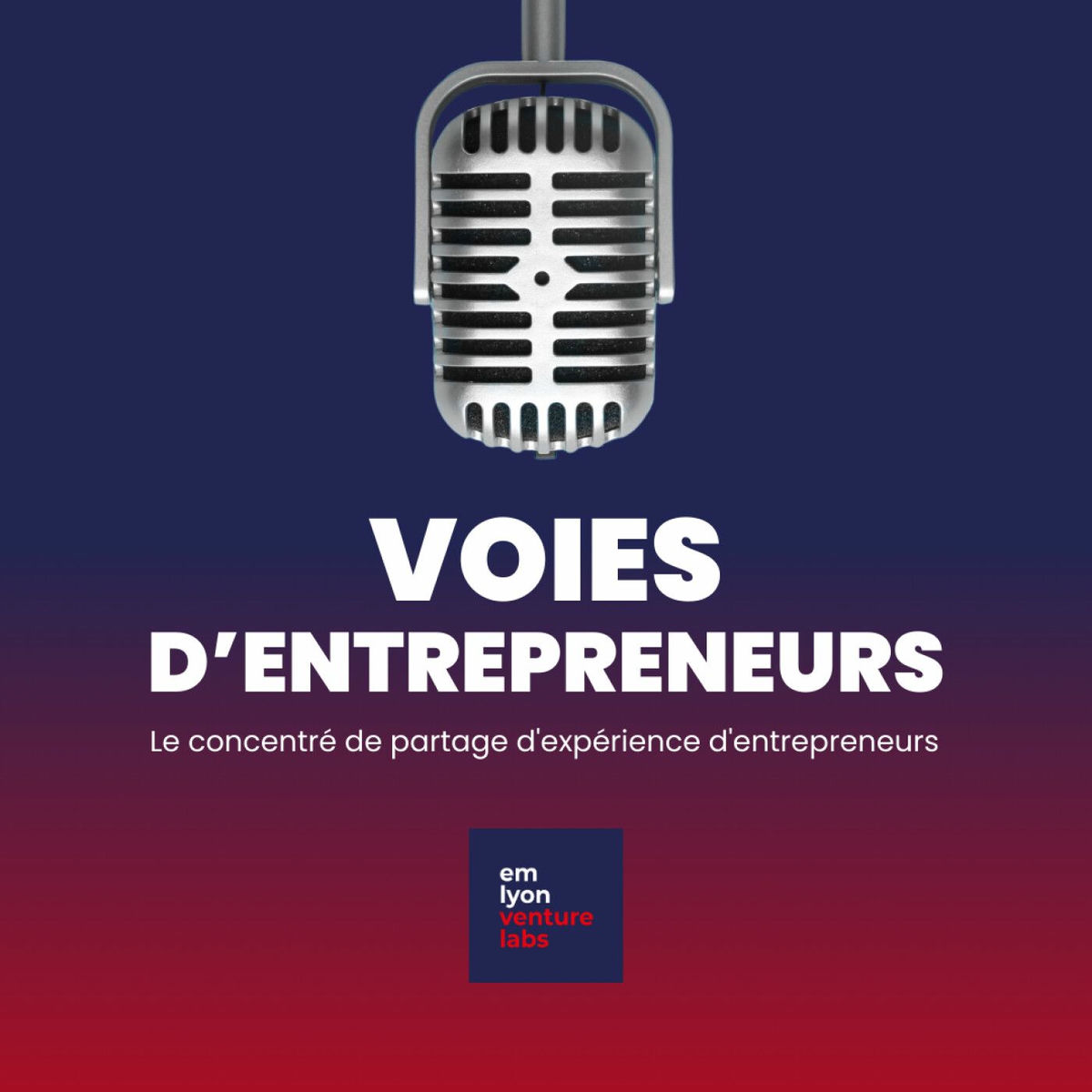 Show cover of Voies d'entrepreneurs