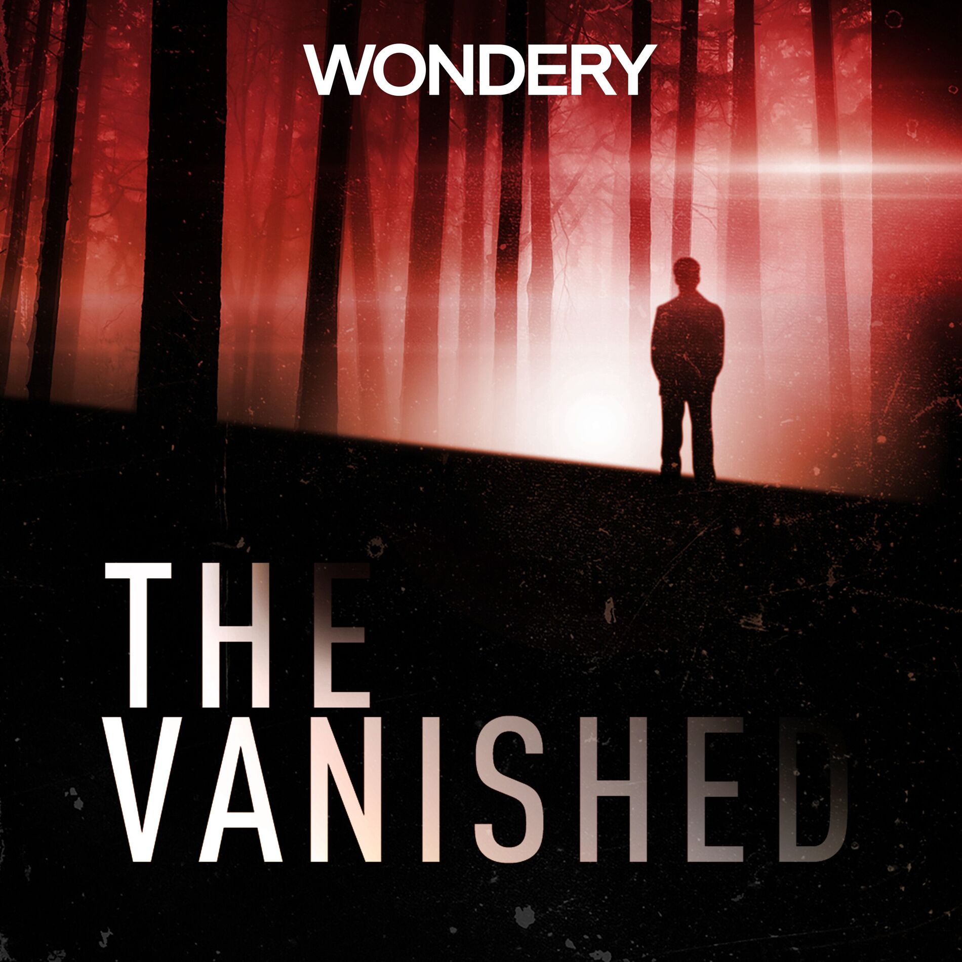 Show cover of The Vanished Podcast