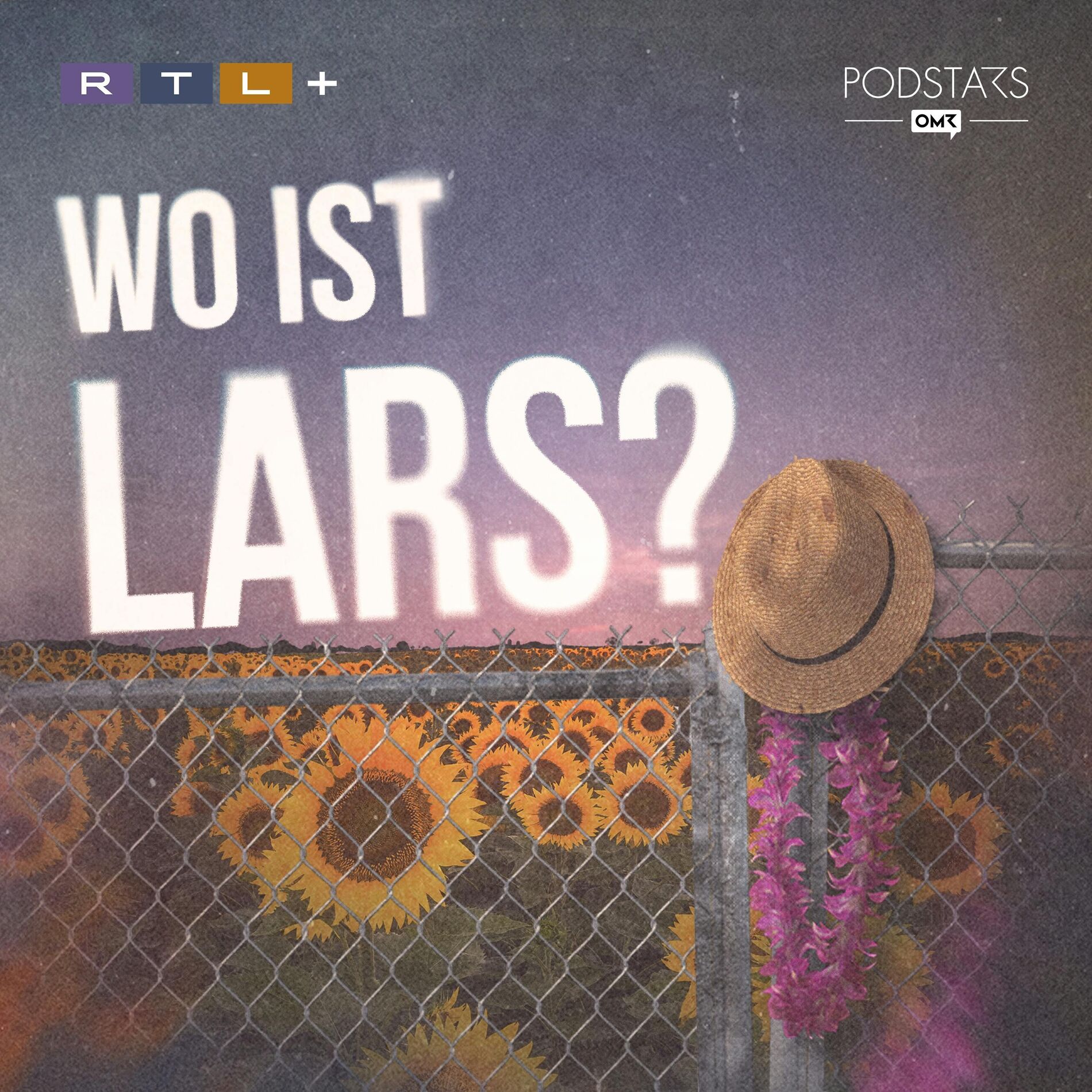 Show cover of Wo ist Lars?