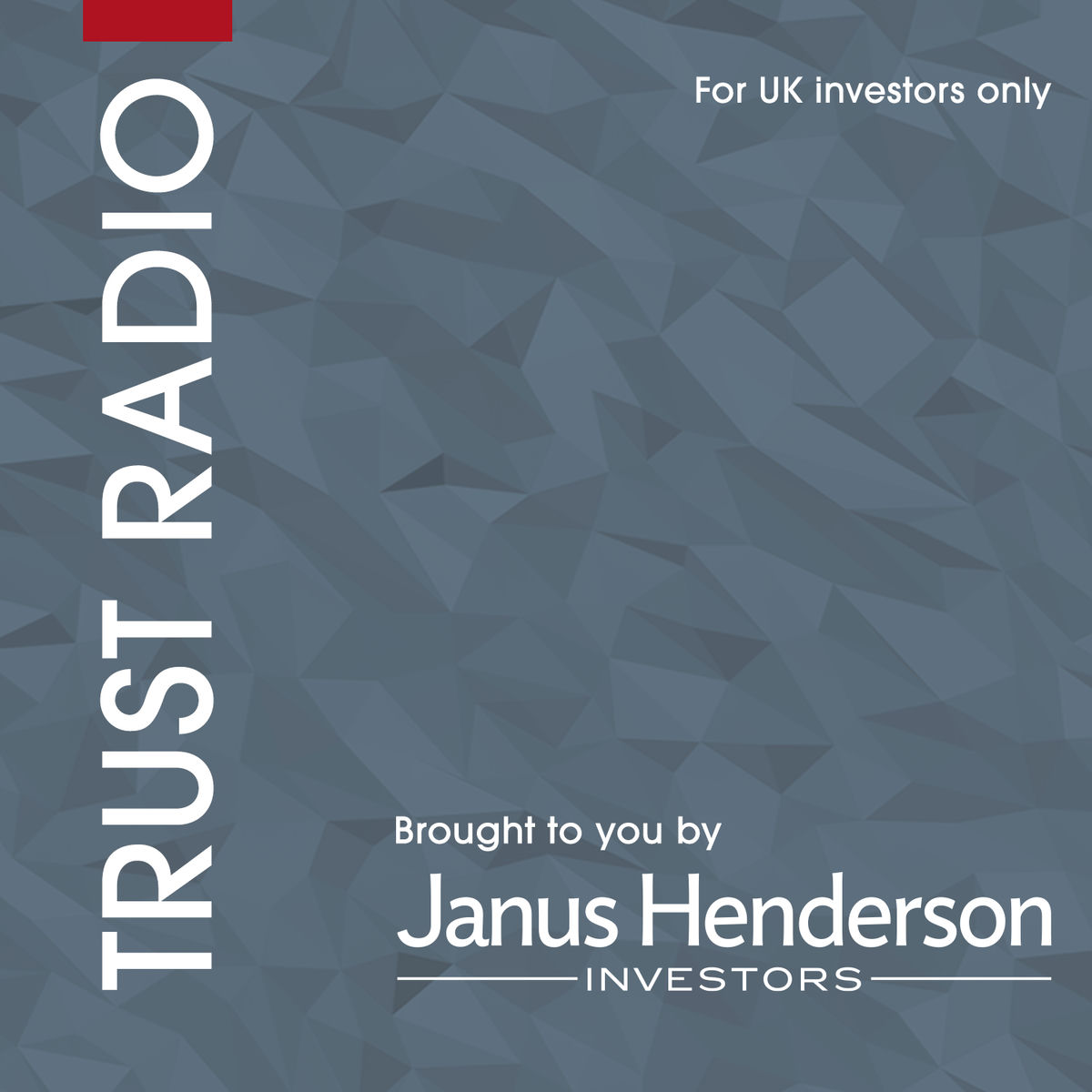 Show cover of Investment Trust Podcast