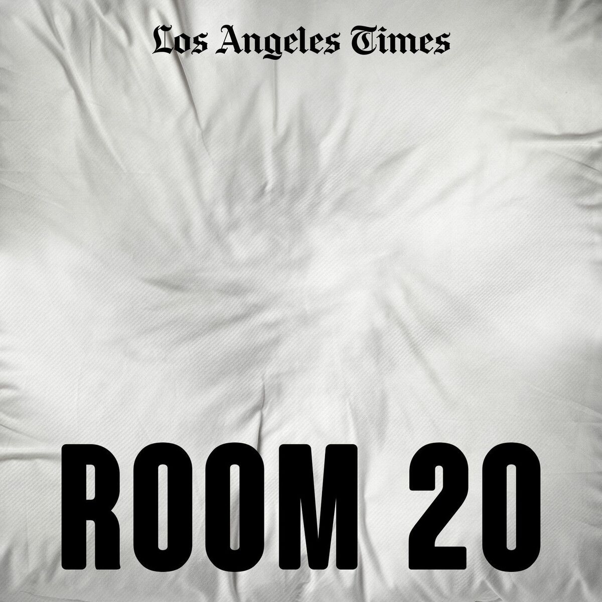 Show cover of Room 20
