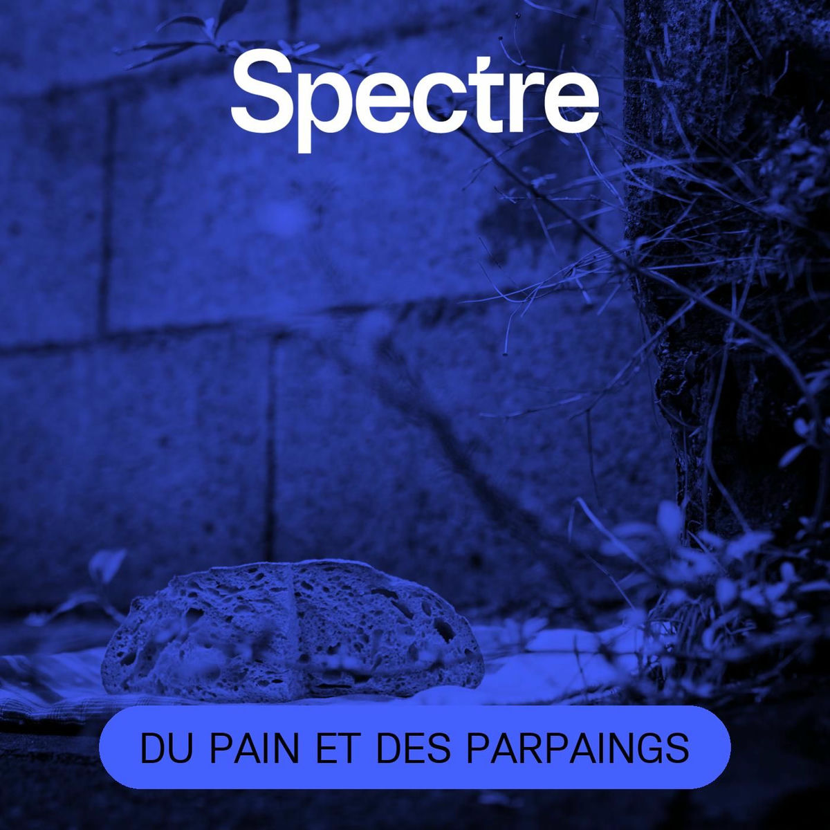 Show cover of Du pain et des parpaings
