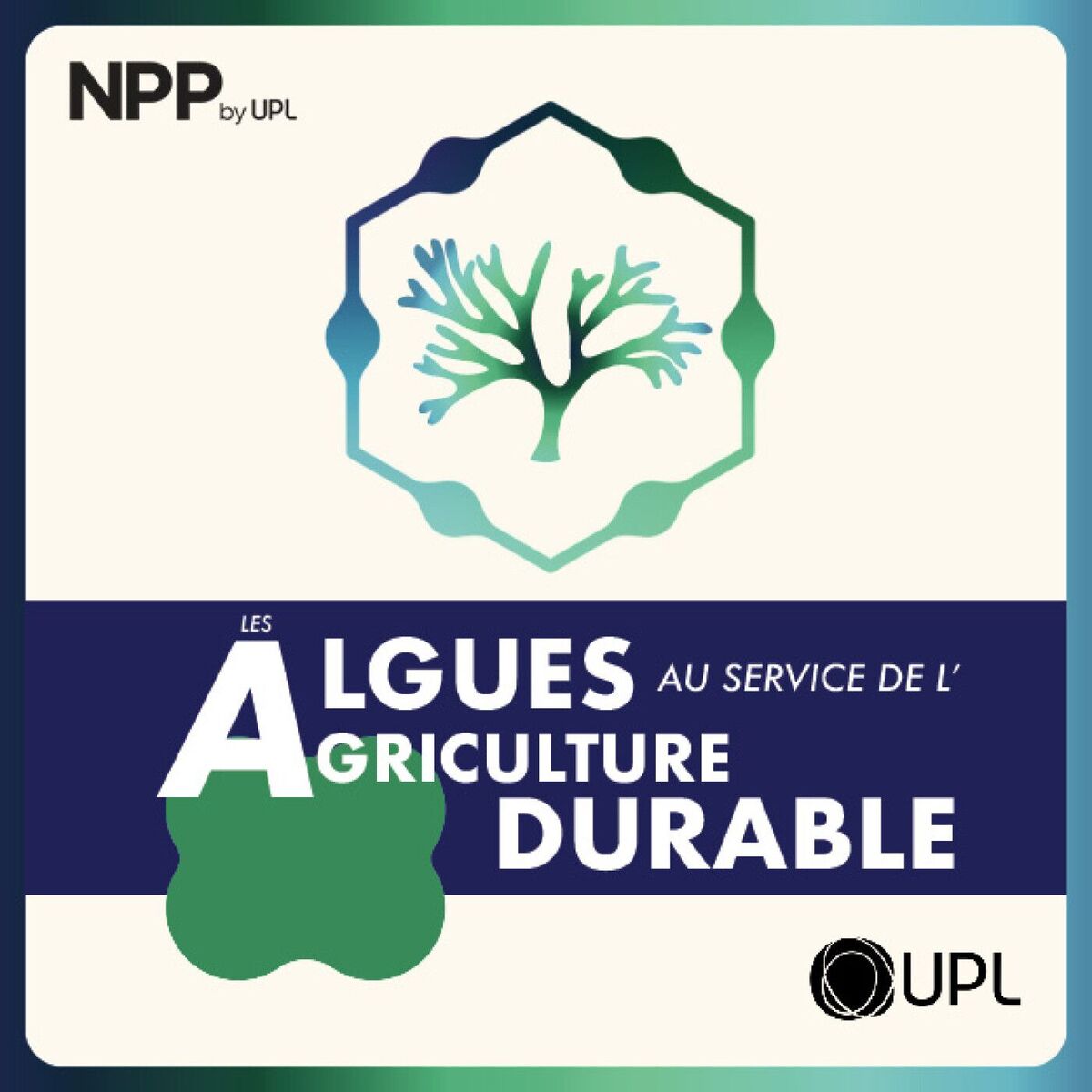 Show cover of Les algues au service de l'agriculture durable