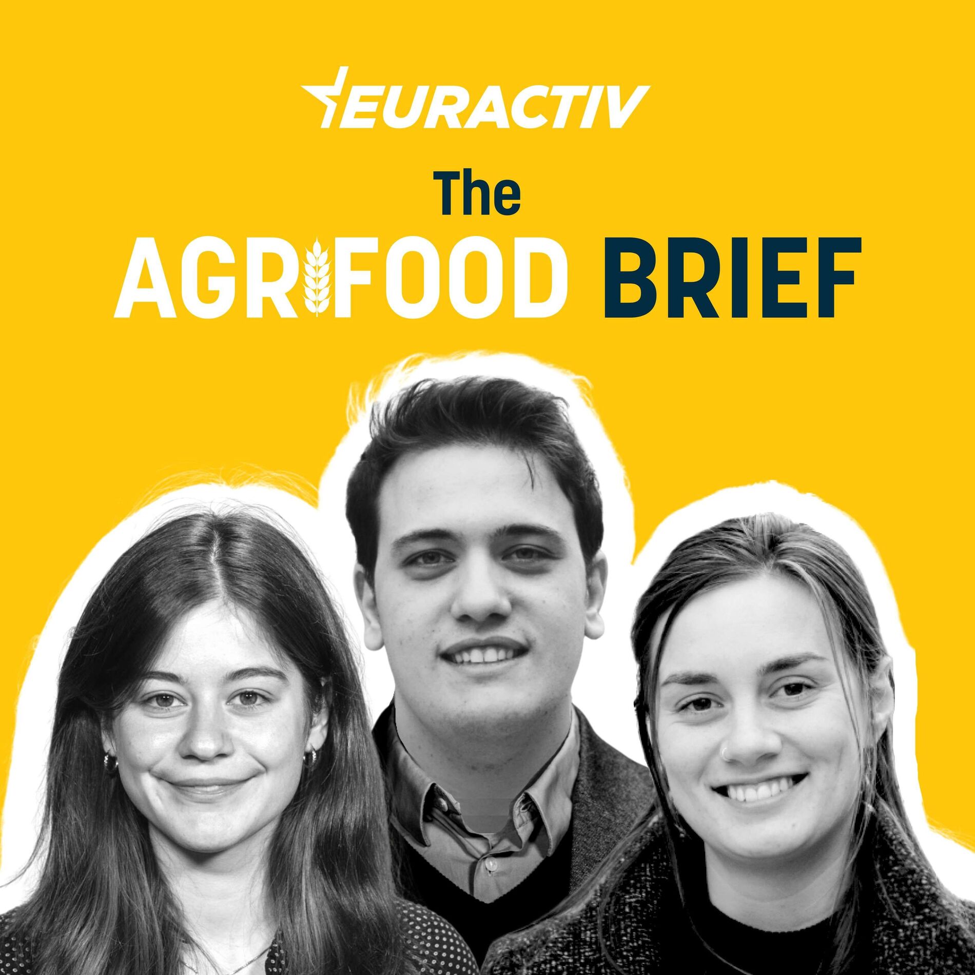 Show cover of Agrifood Brief