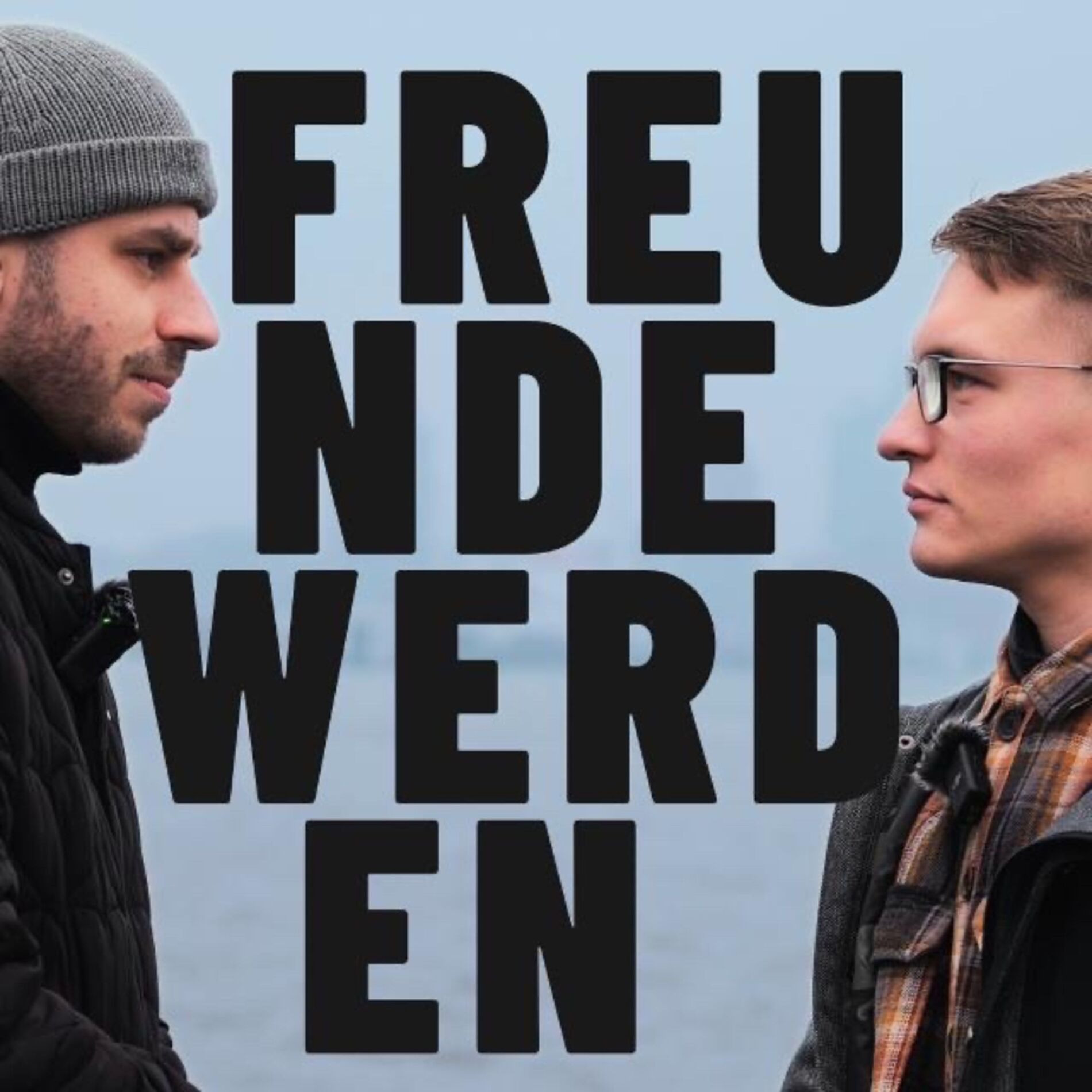 Show cover of FREUNDE WERDEN