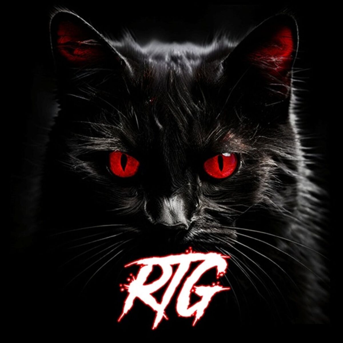 Show cover of Relatos de Terror del Gato