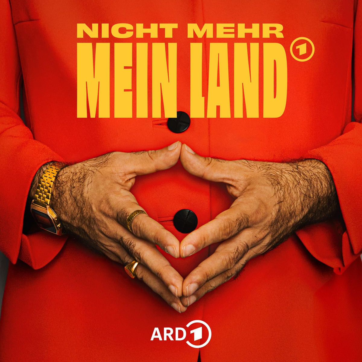 Show cover of Nicht Mehr Mein Land - Geschichten über Migration, den Rechtsruck und die Gräben zwischen uns