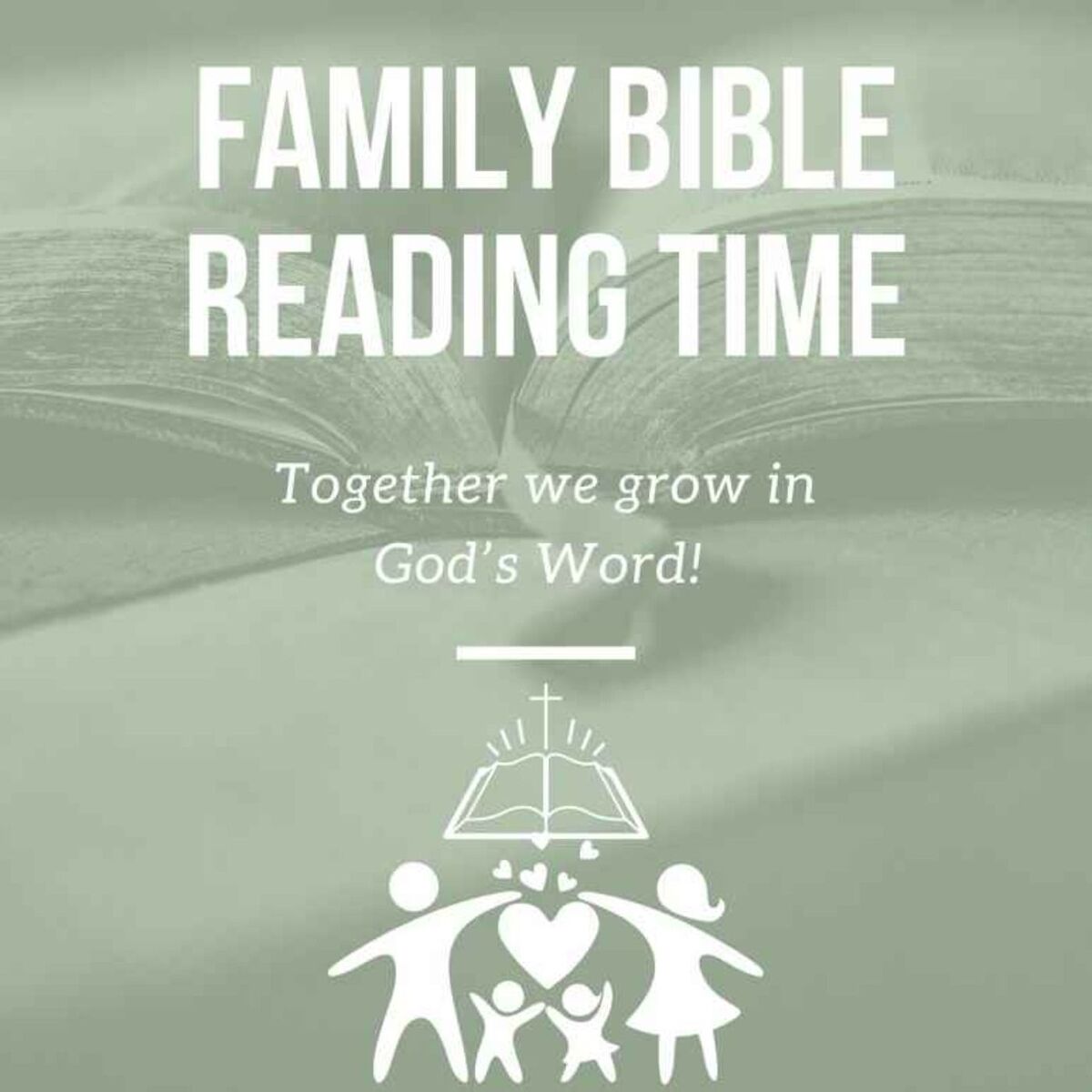 Show cover of Family Bible Reading Time