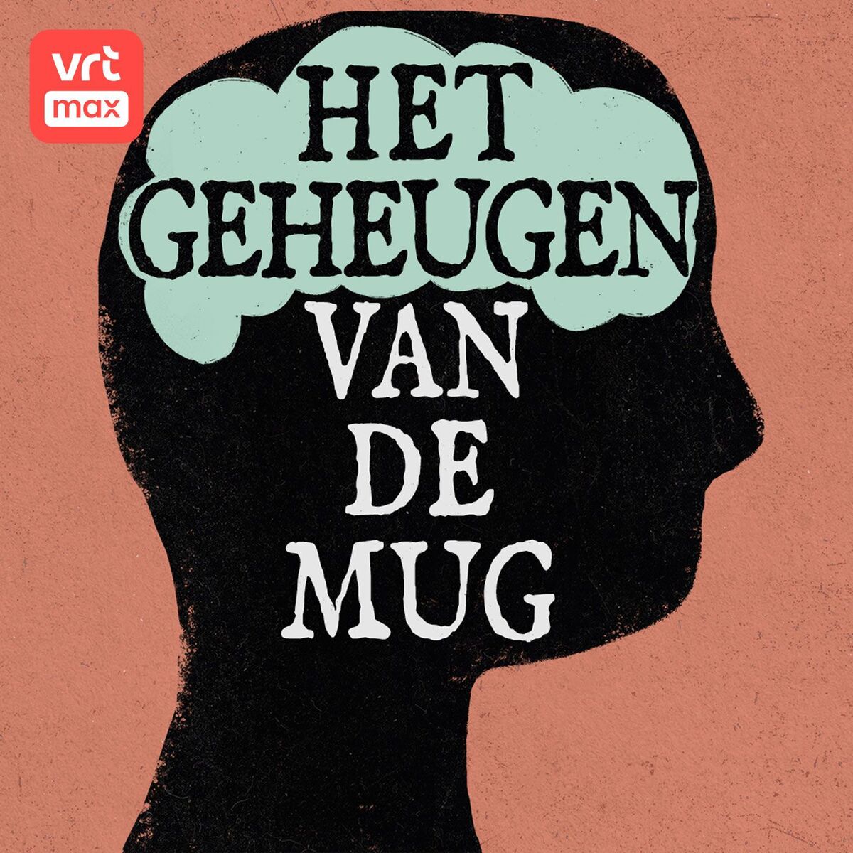Show cover of Het geheugen van de mug