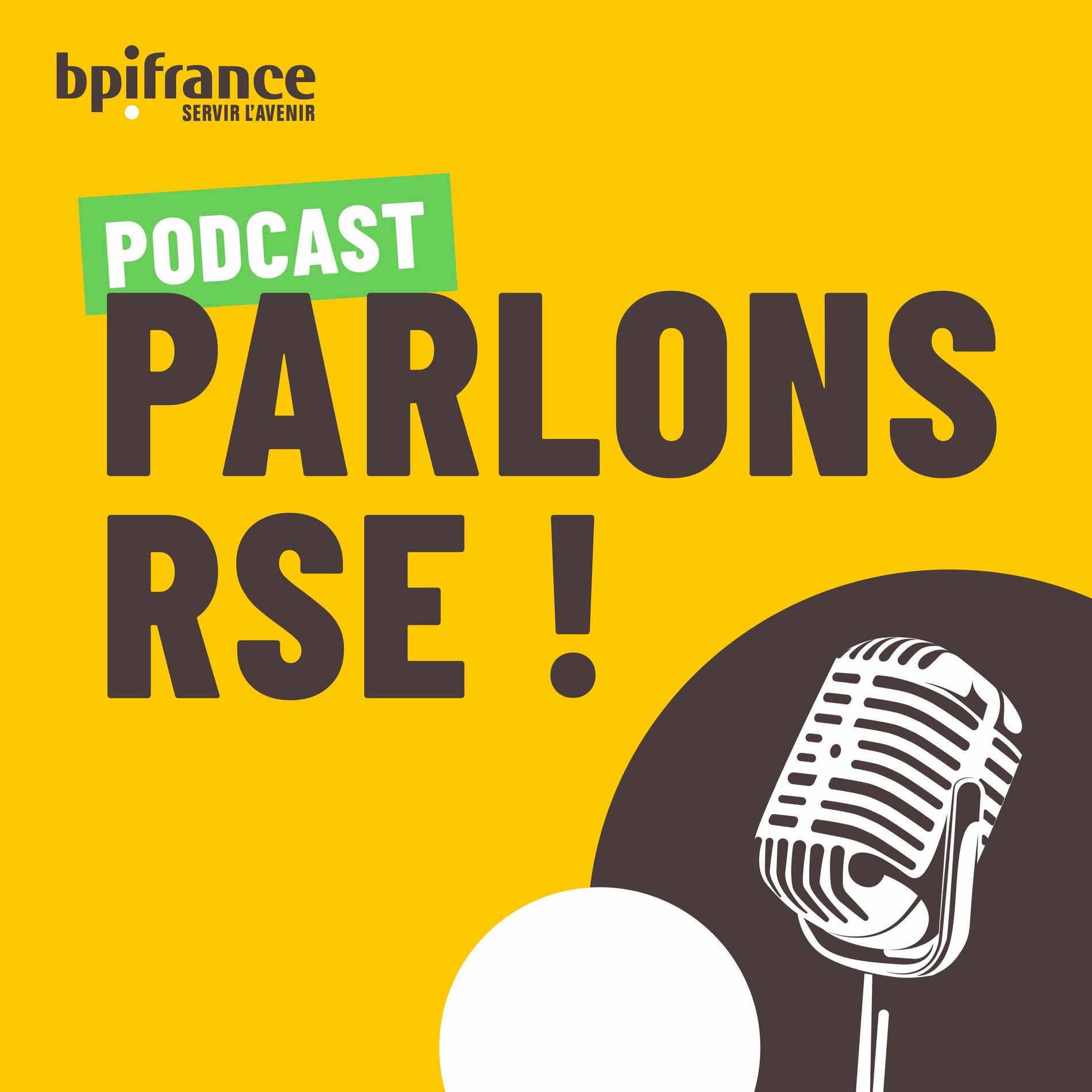 Show cover of Parlons RSE !