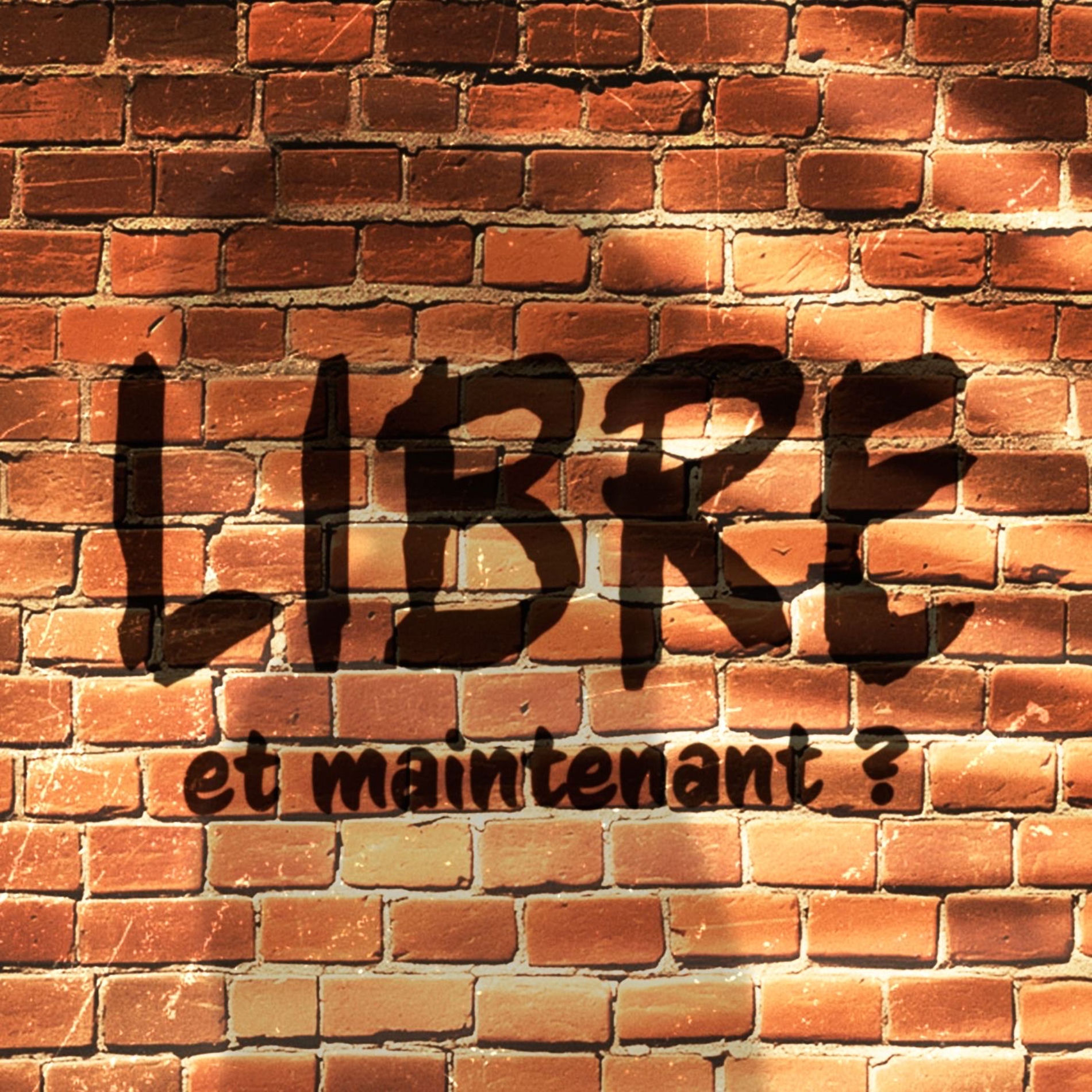 Show cover of Libre, et maintenant ?