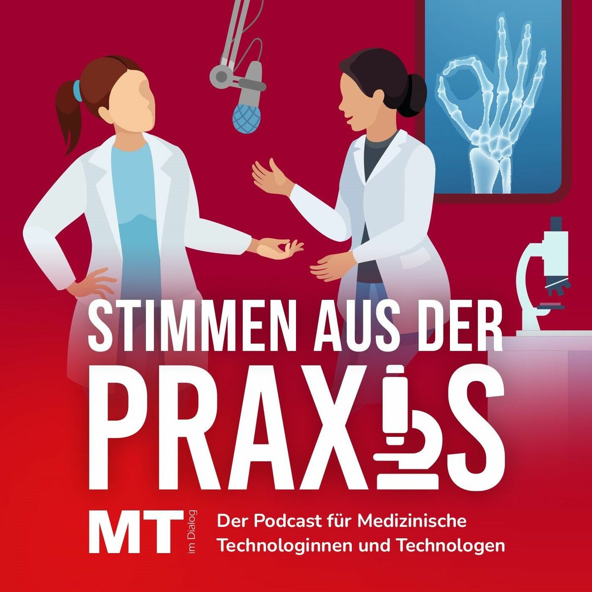 Show cover of MT im Dialog – Stimmen aus der Praxis