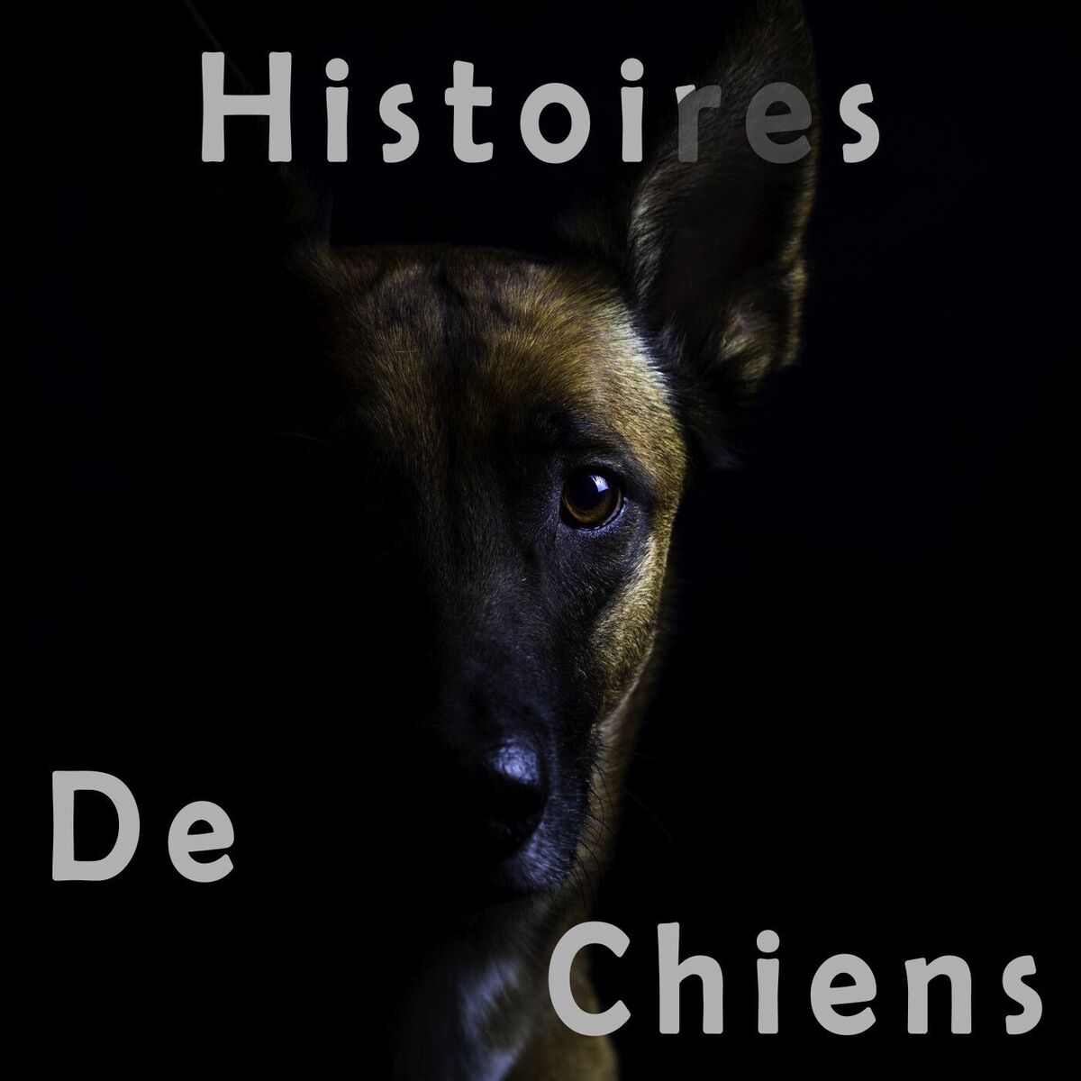 Show cover of Histoires de Chiens
