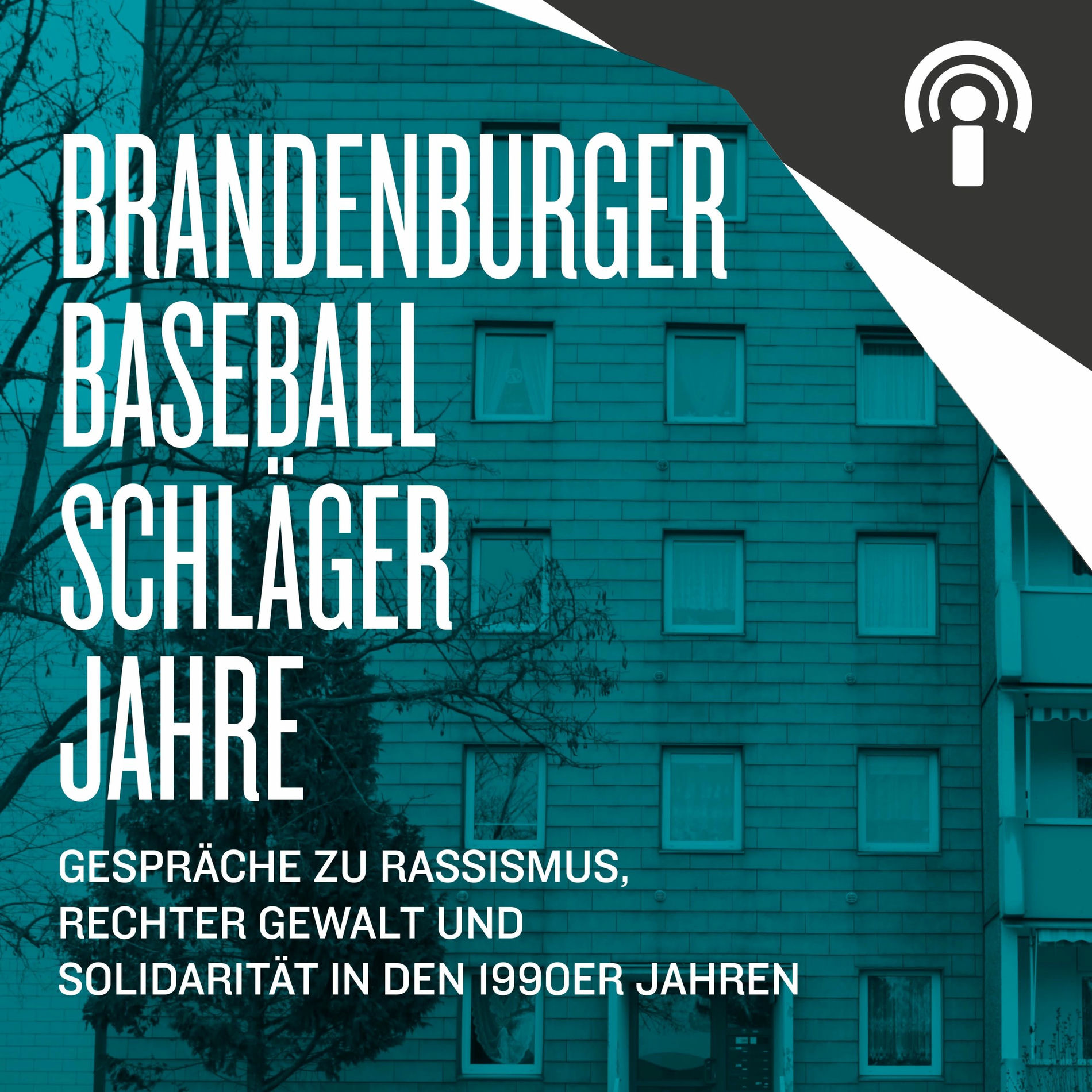 Show cover of Brandenburger Baseballschlägerjahre (BBJ)