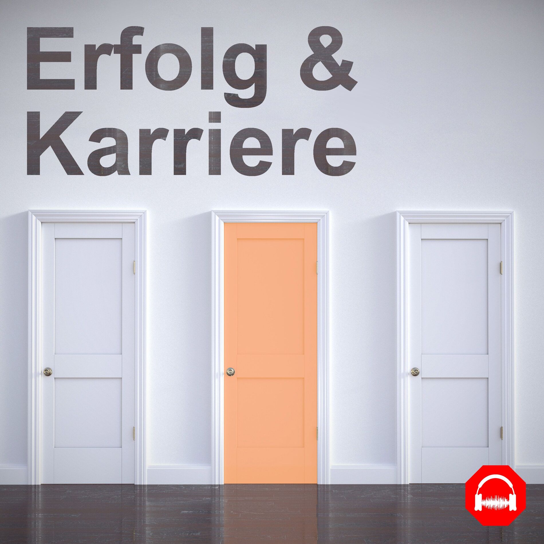 Show cover of Karriere und Erfolg