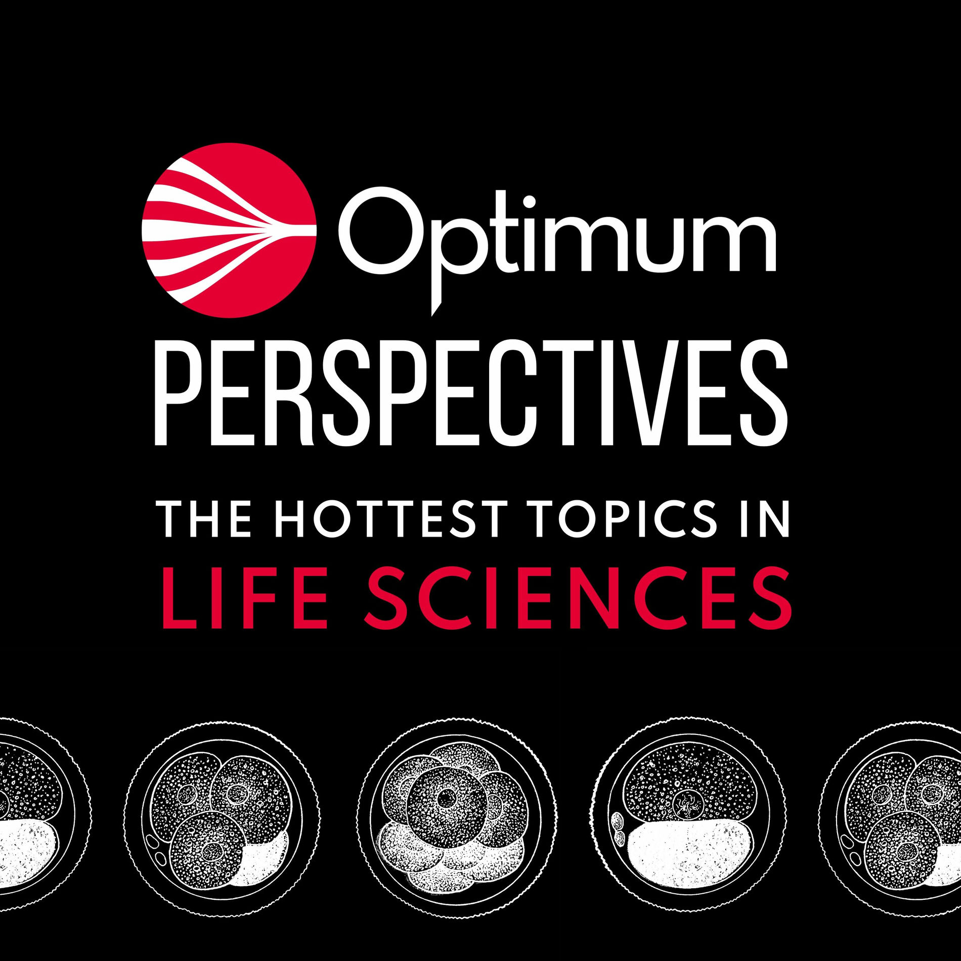 Show cover of Optimum Perspectives