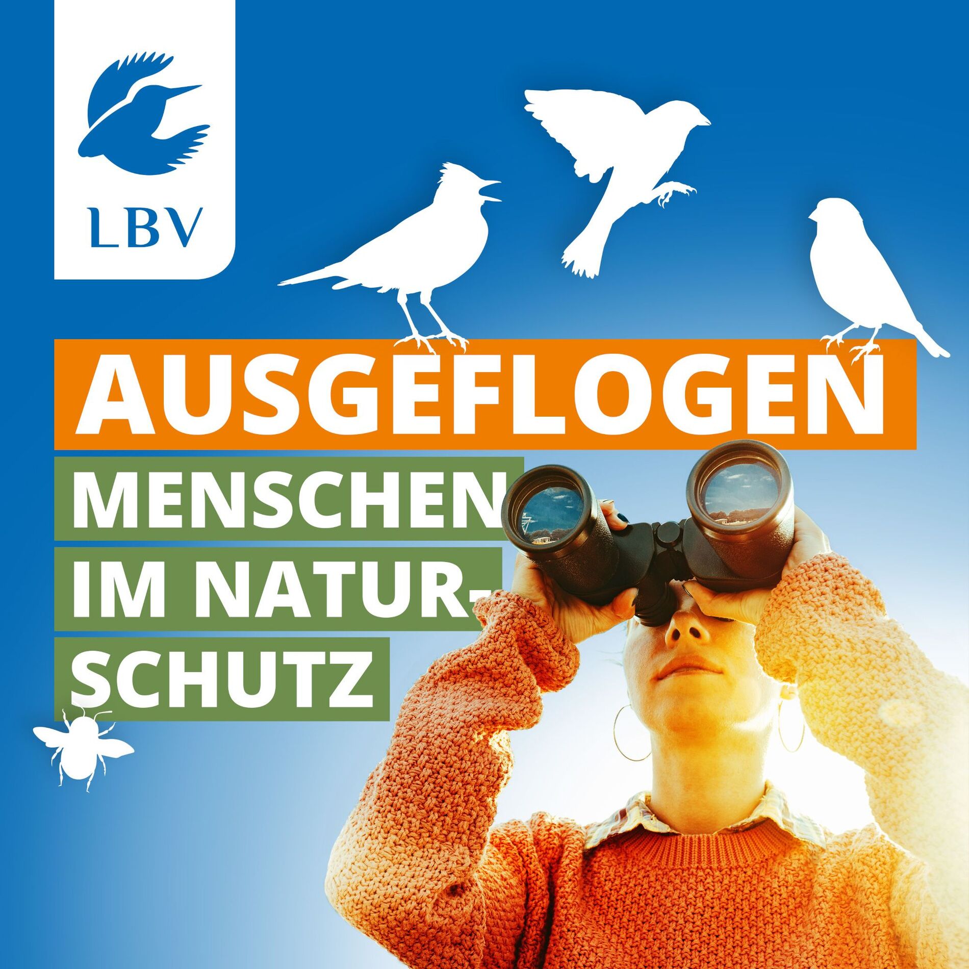 Show cover of Ausgeflogen