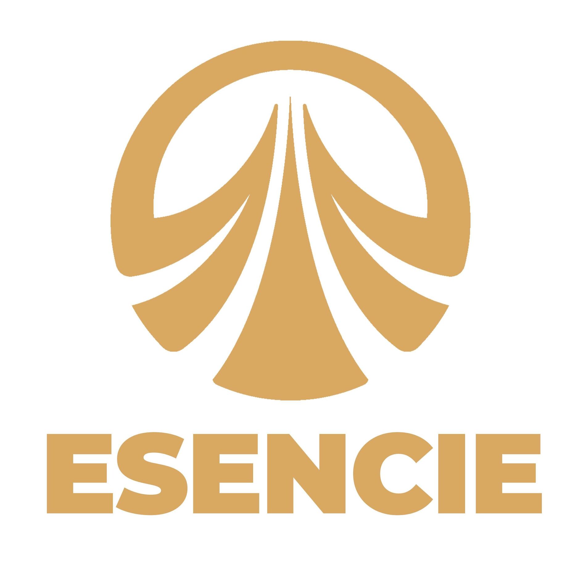 Show cover of ESENCIE - Leo Prema