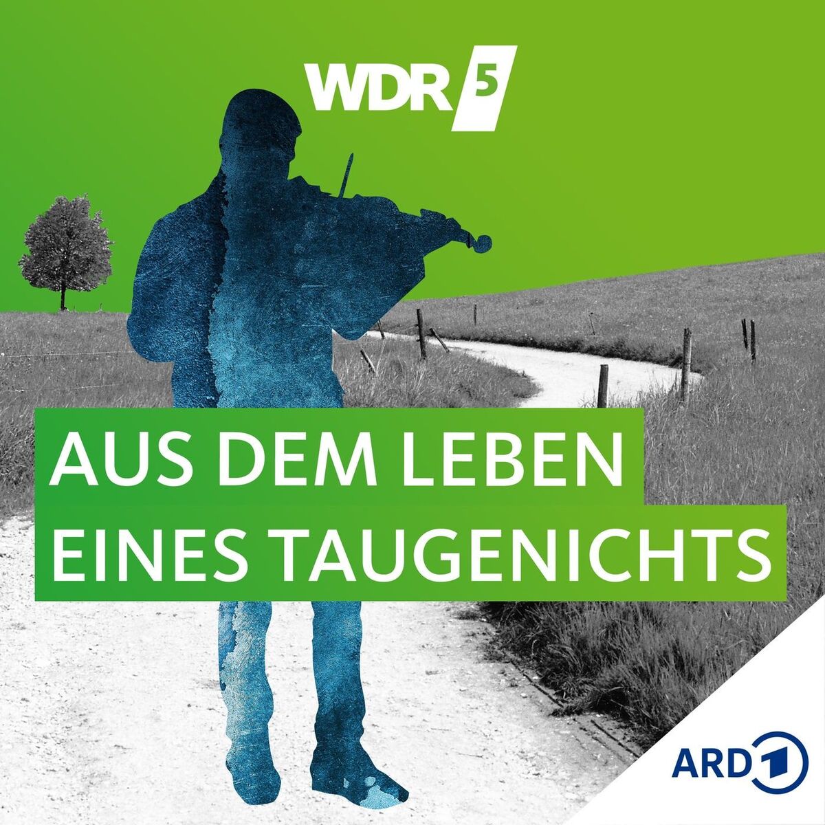 Show cover of WDR 5 Aus dem Leben eines Taugenichts - Hörbuch