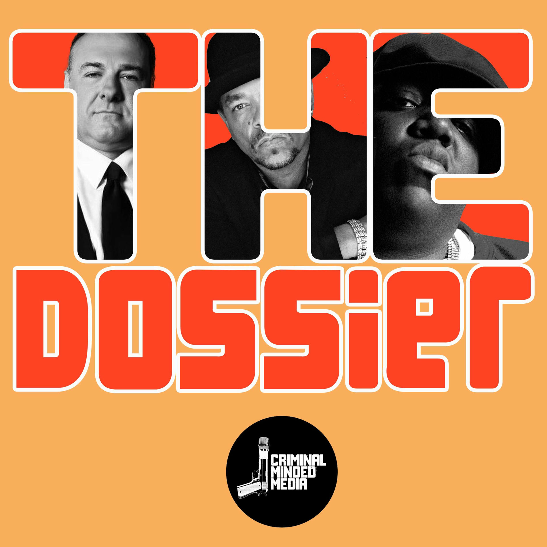 Show cover of THE DOSSIER