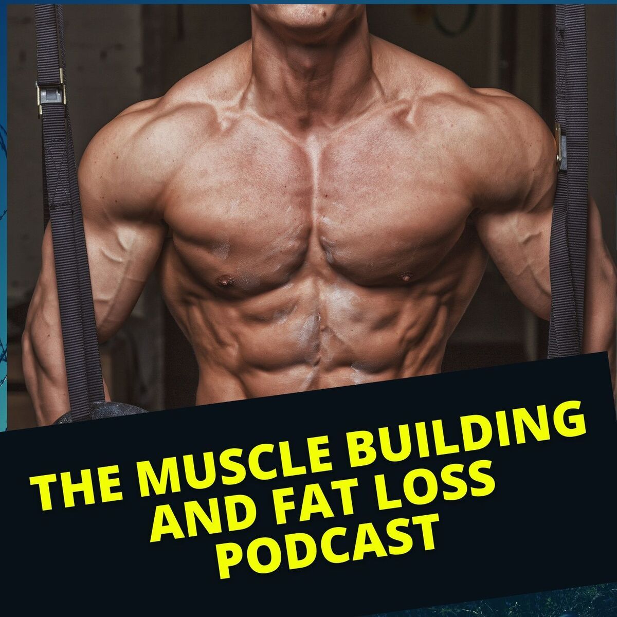 Show cover of The Muscle Building and Fat Loss Podcast