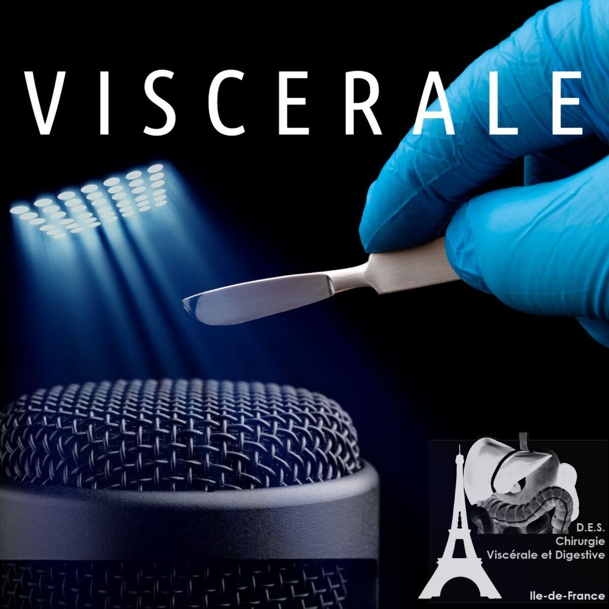 Show cover of Viscerale