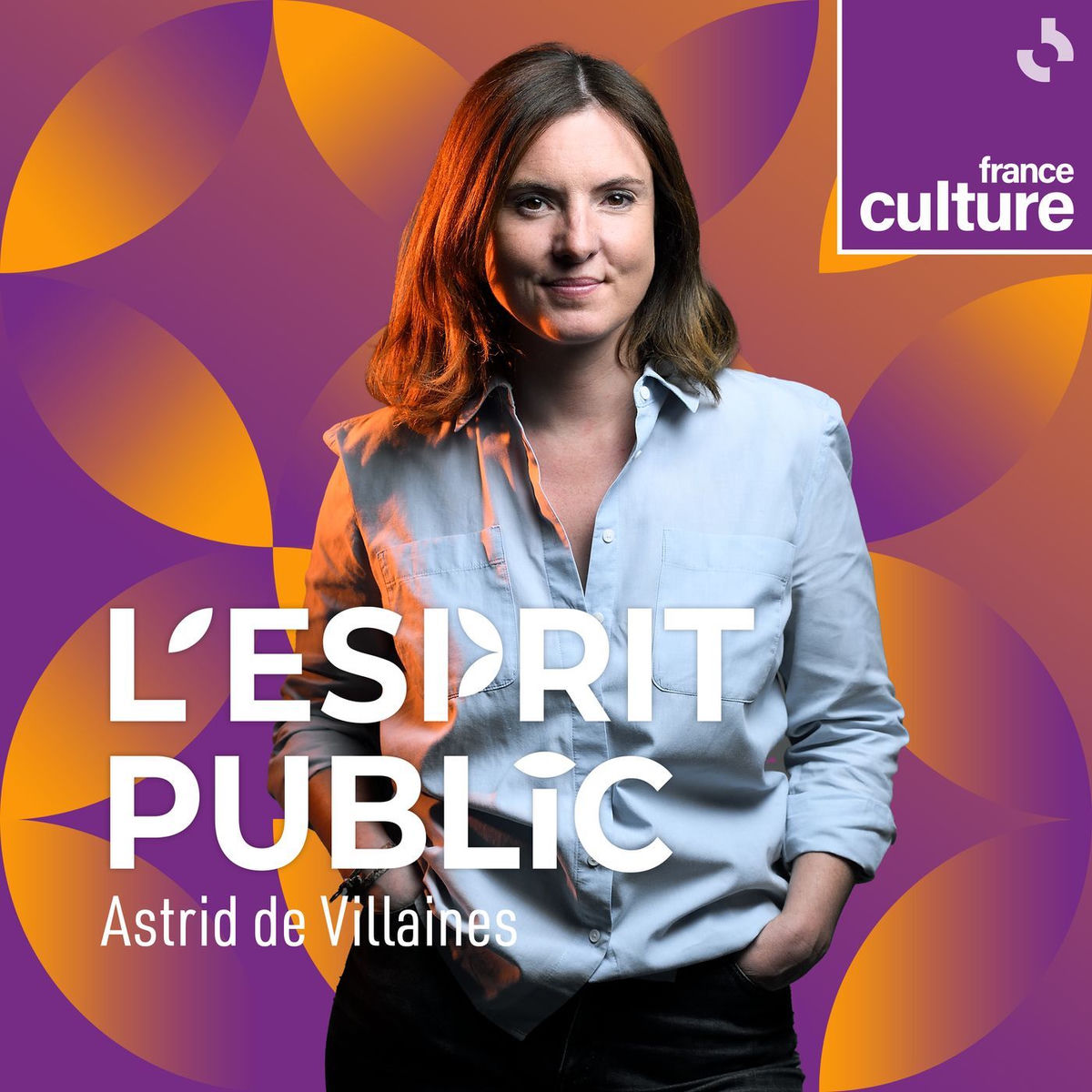 Show cover of L'Esprit public