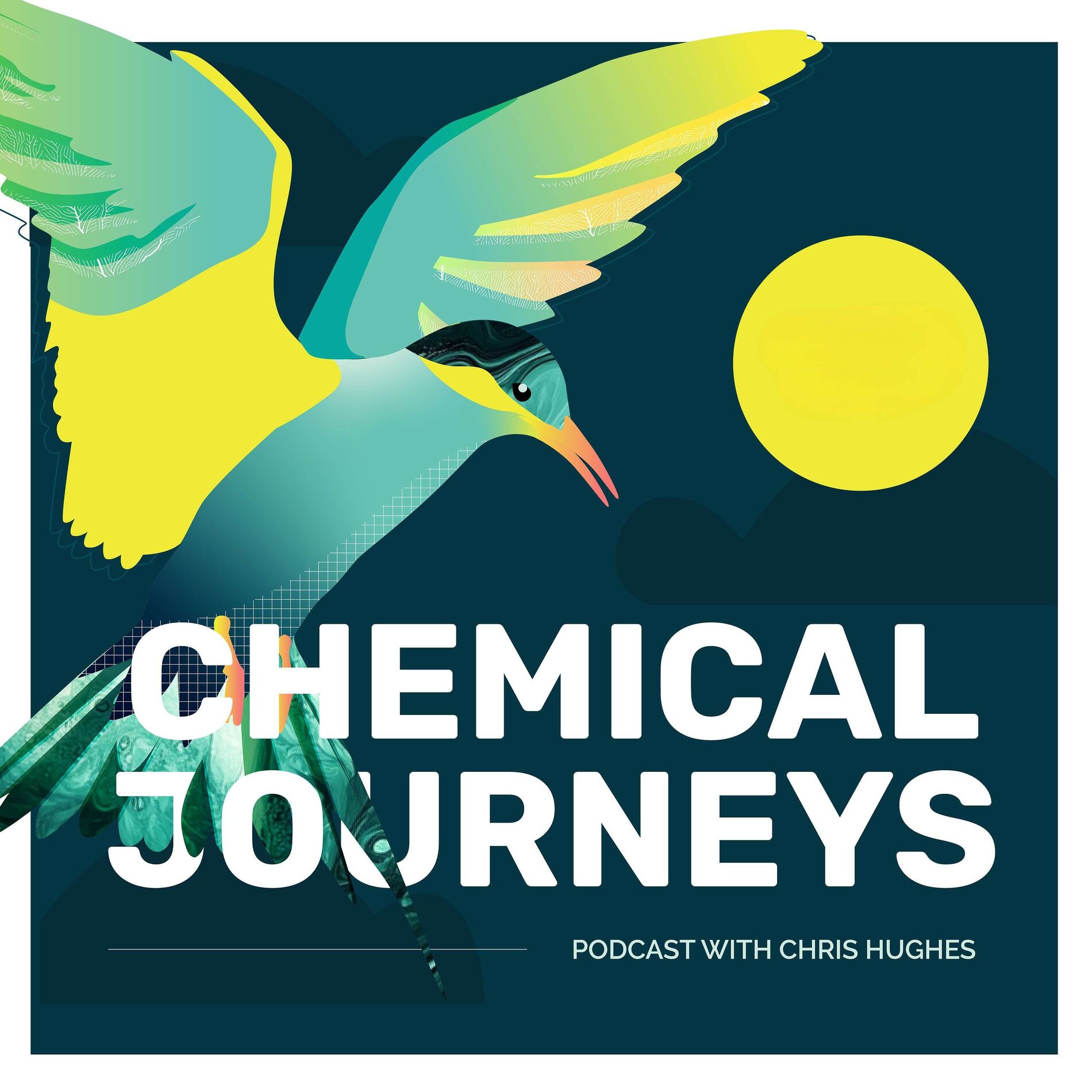Show cover of Chemical Journeys