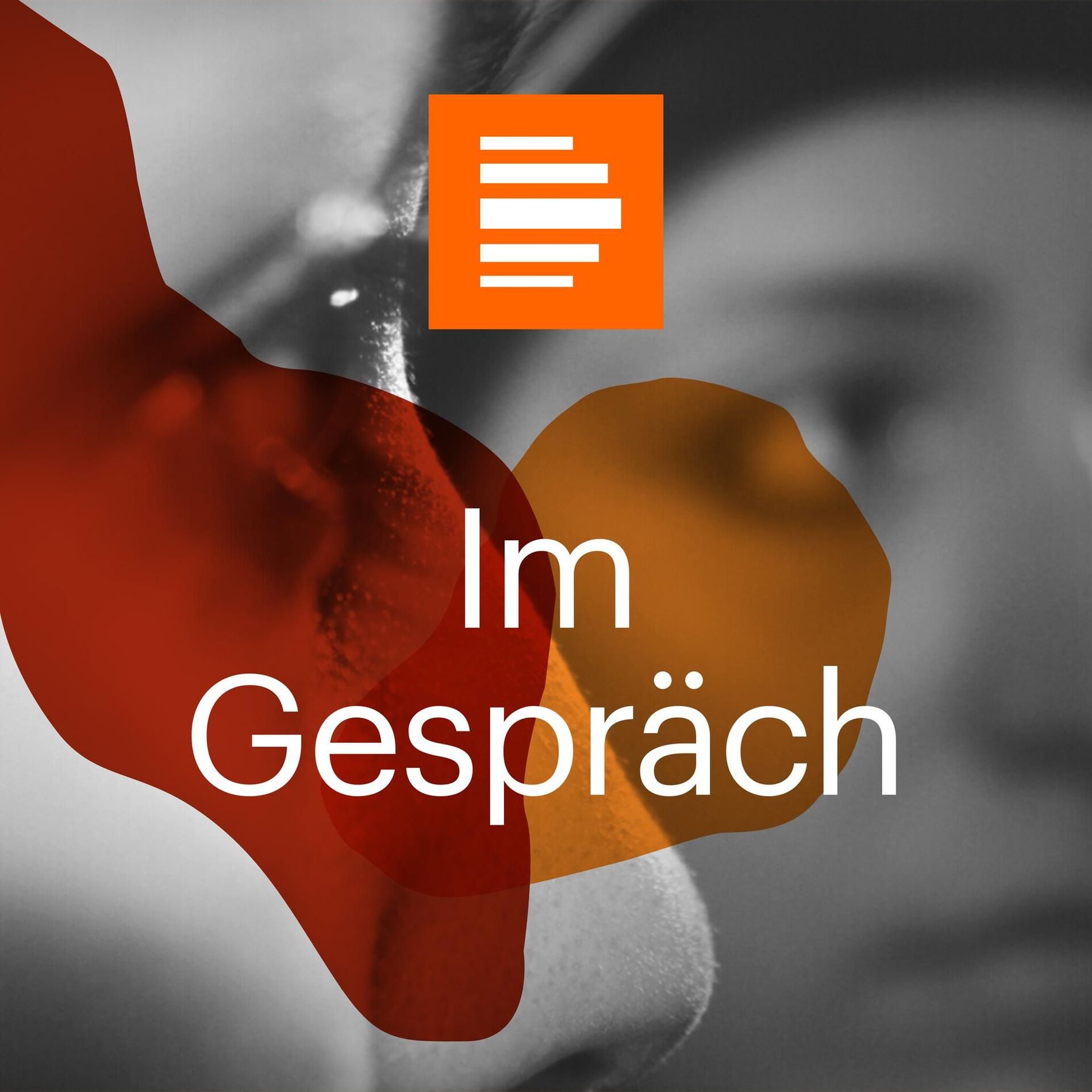 Show cover of Im Gespräch