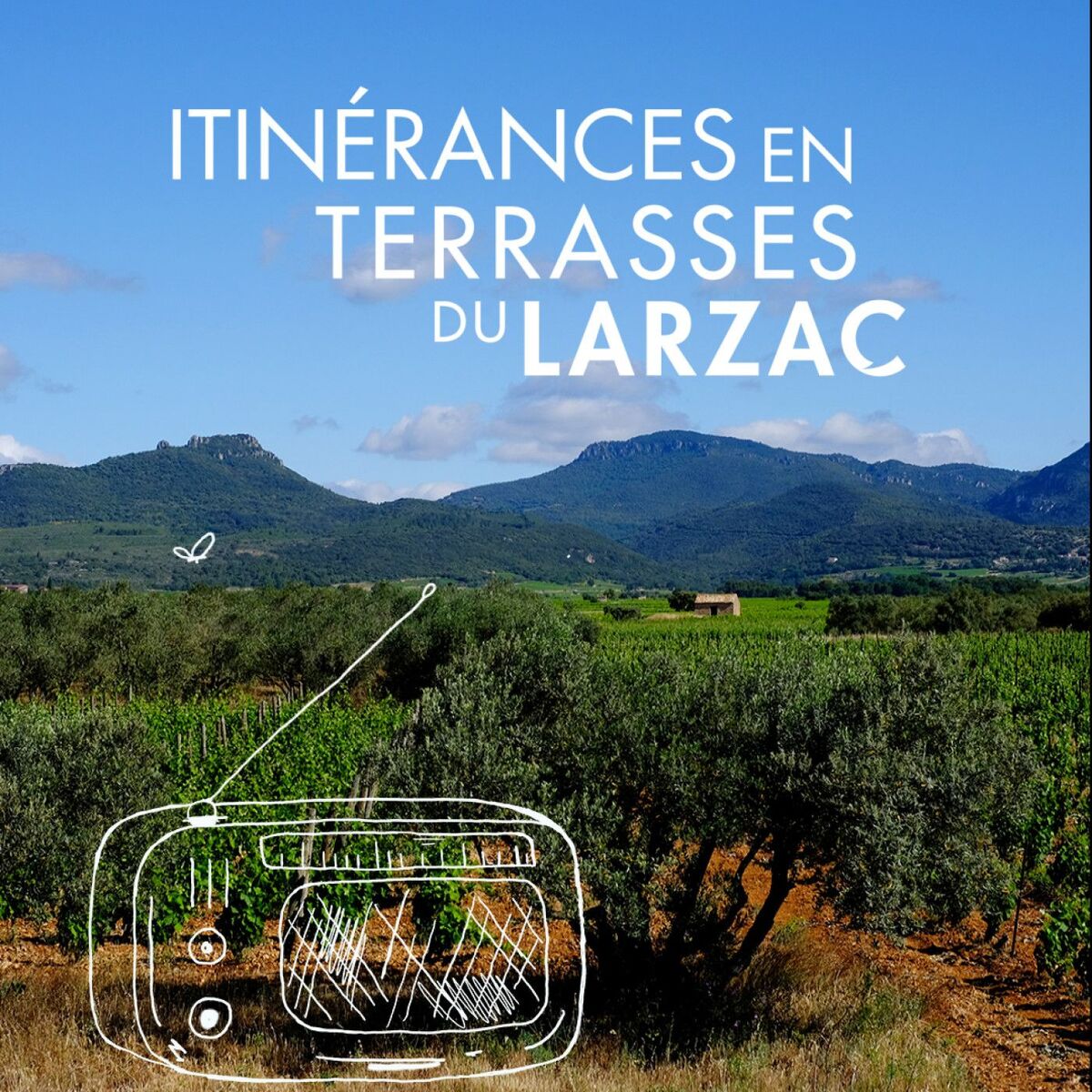 Show cover of Itinéraires sonores et vin Terrasses du Larzac