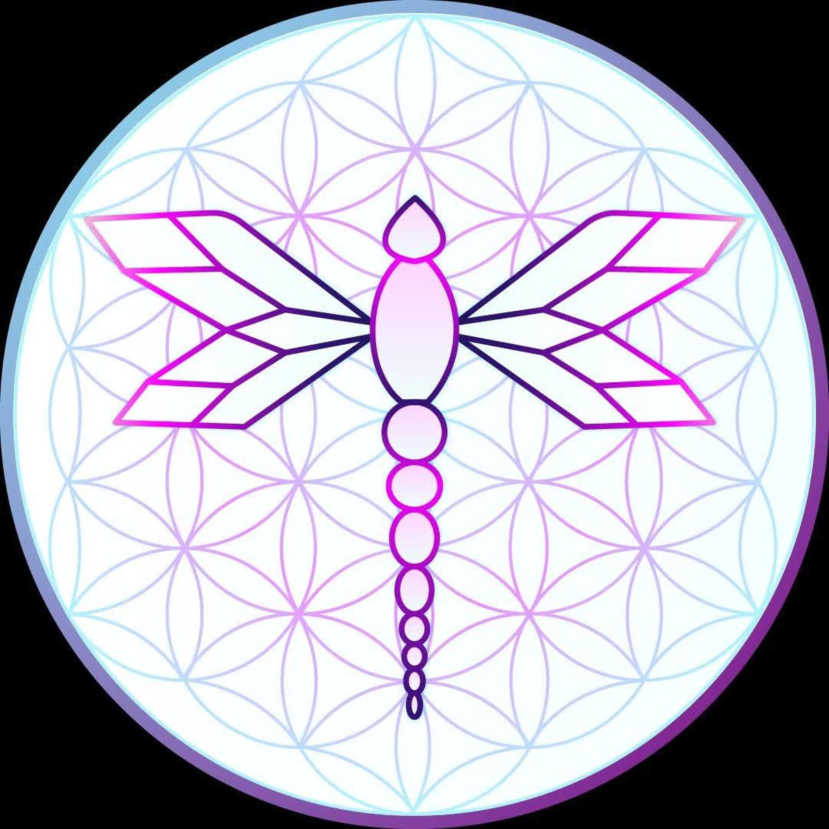 Show cover of Consciência desperta
