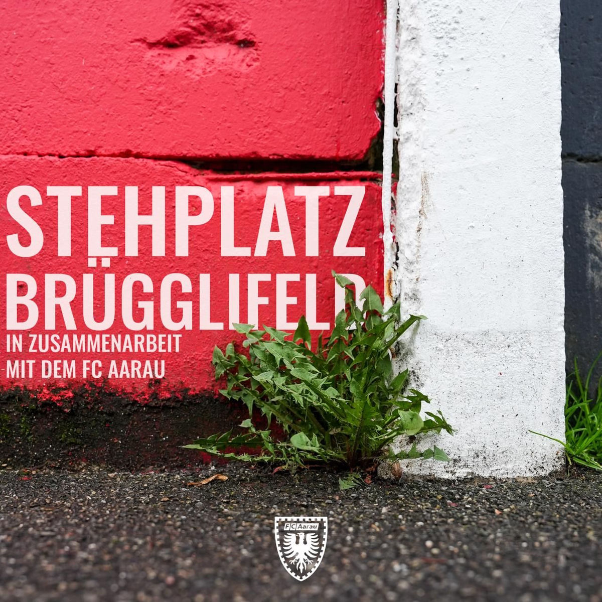 Show cover of Stehplatz Brügglifeld